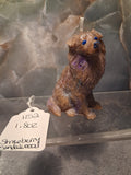 The Spirited Sheltie