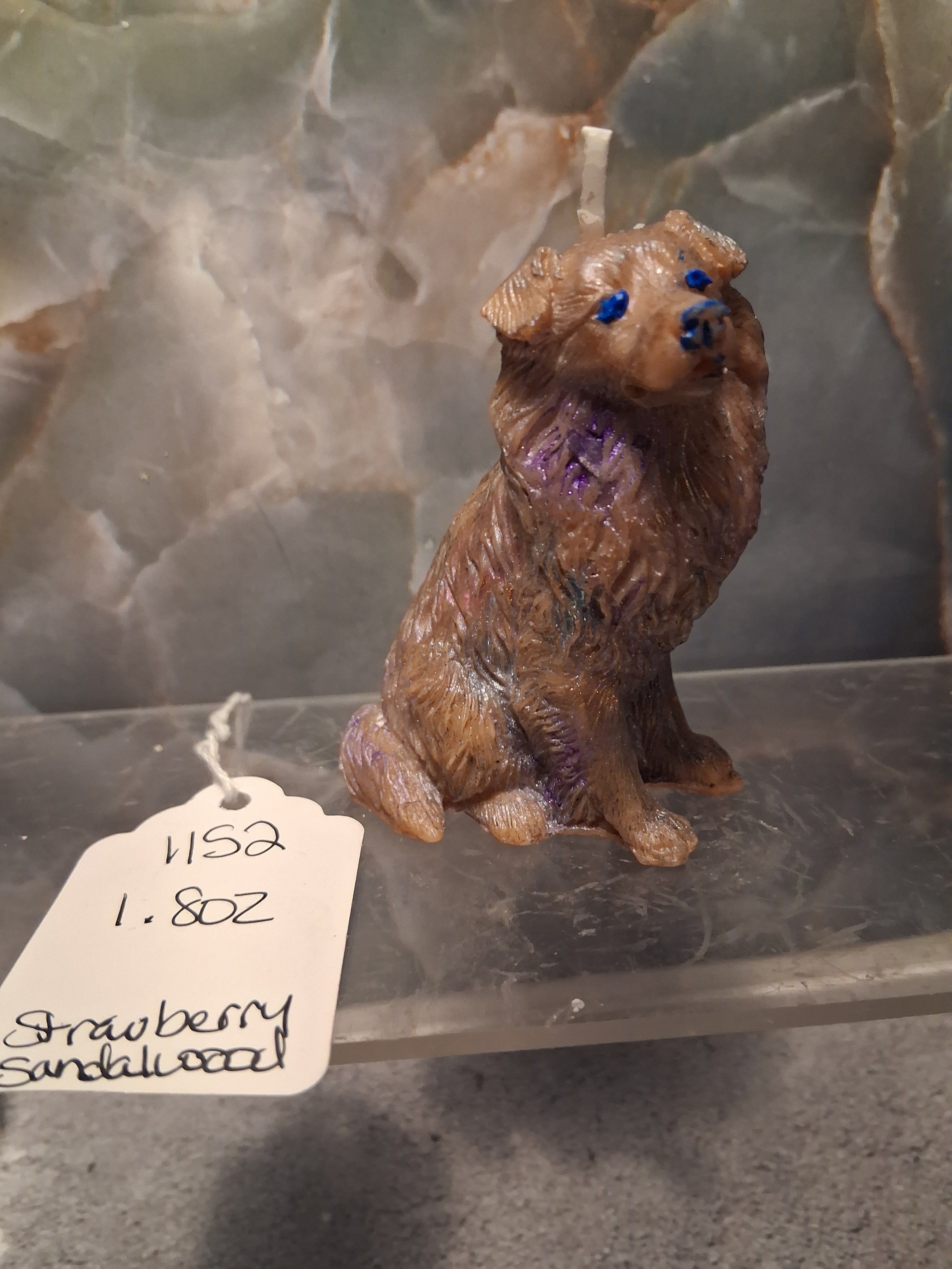 The Spirited Sheltie