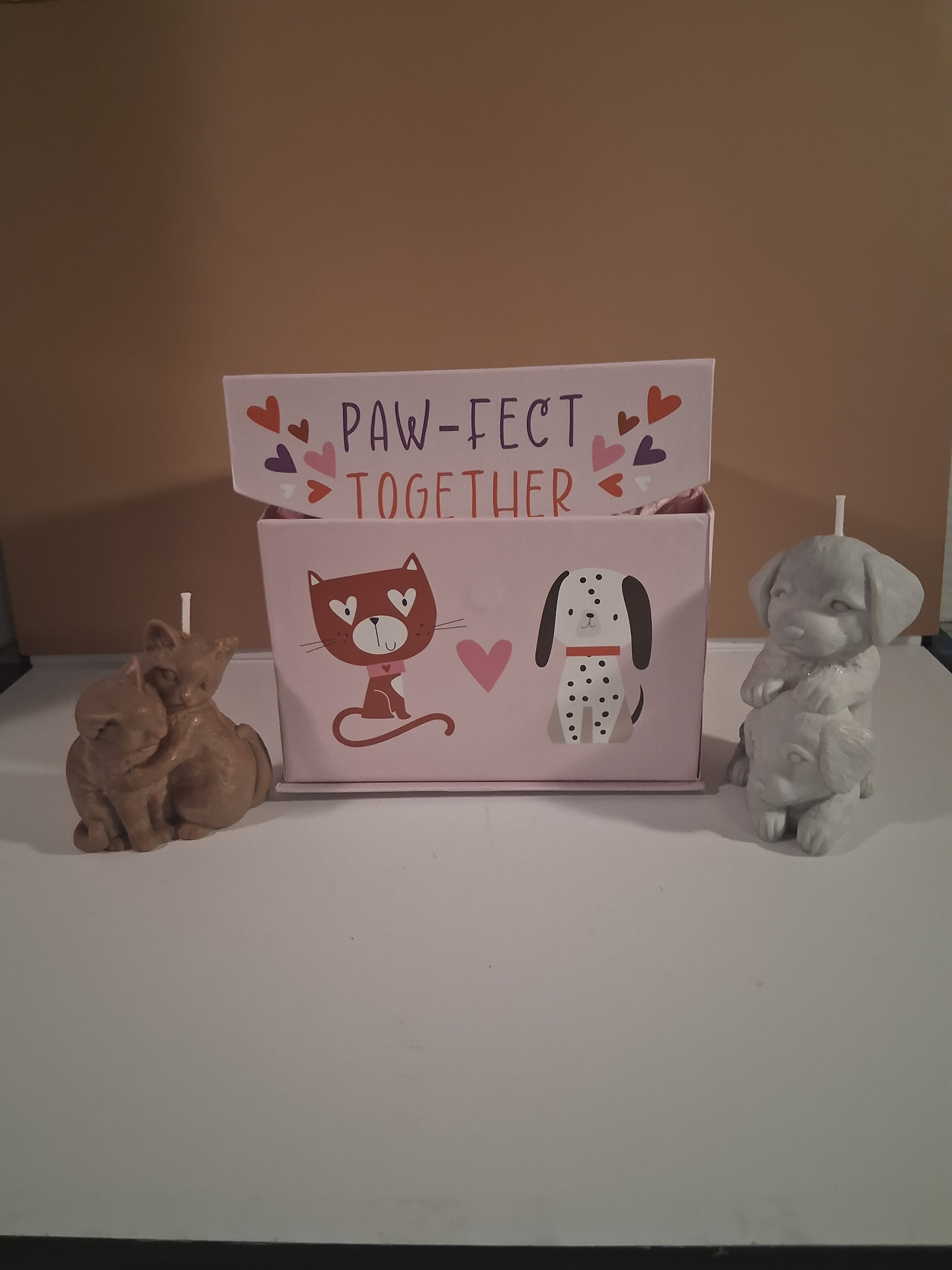 Paw-fect Together (Set of 2)