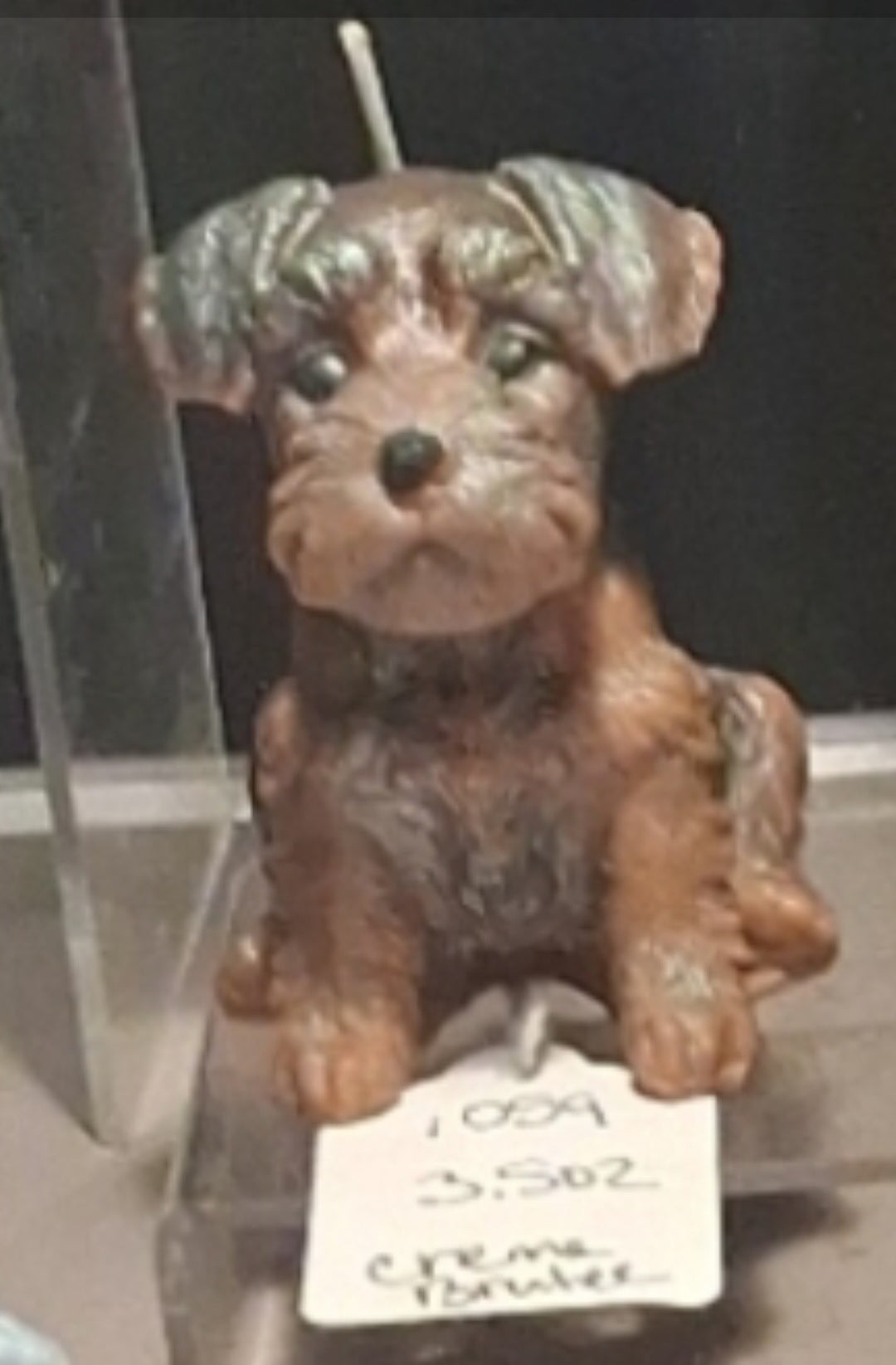 Scottish Terrier