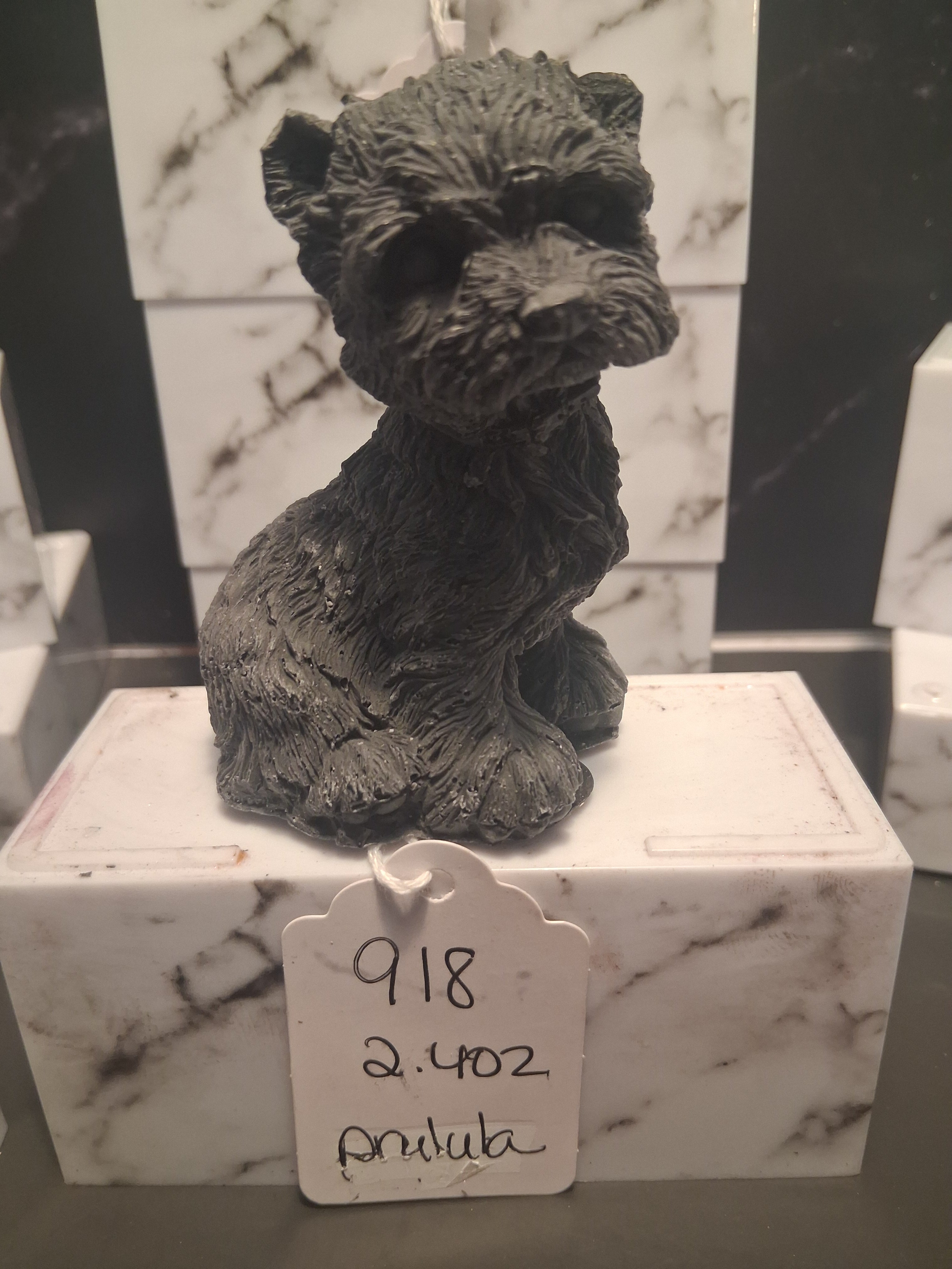Terrier Twinkle