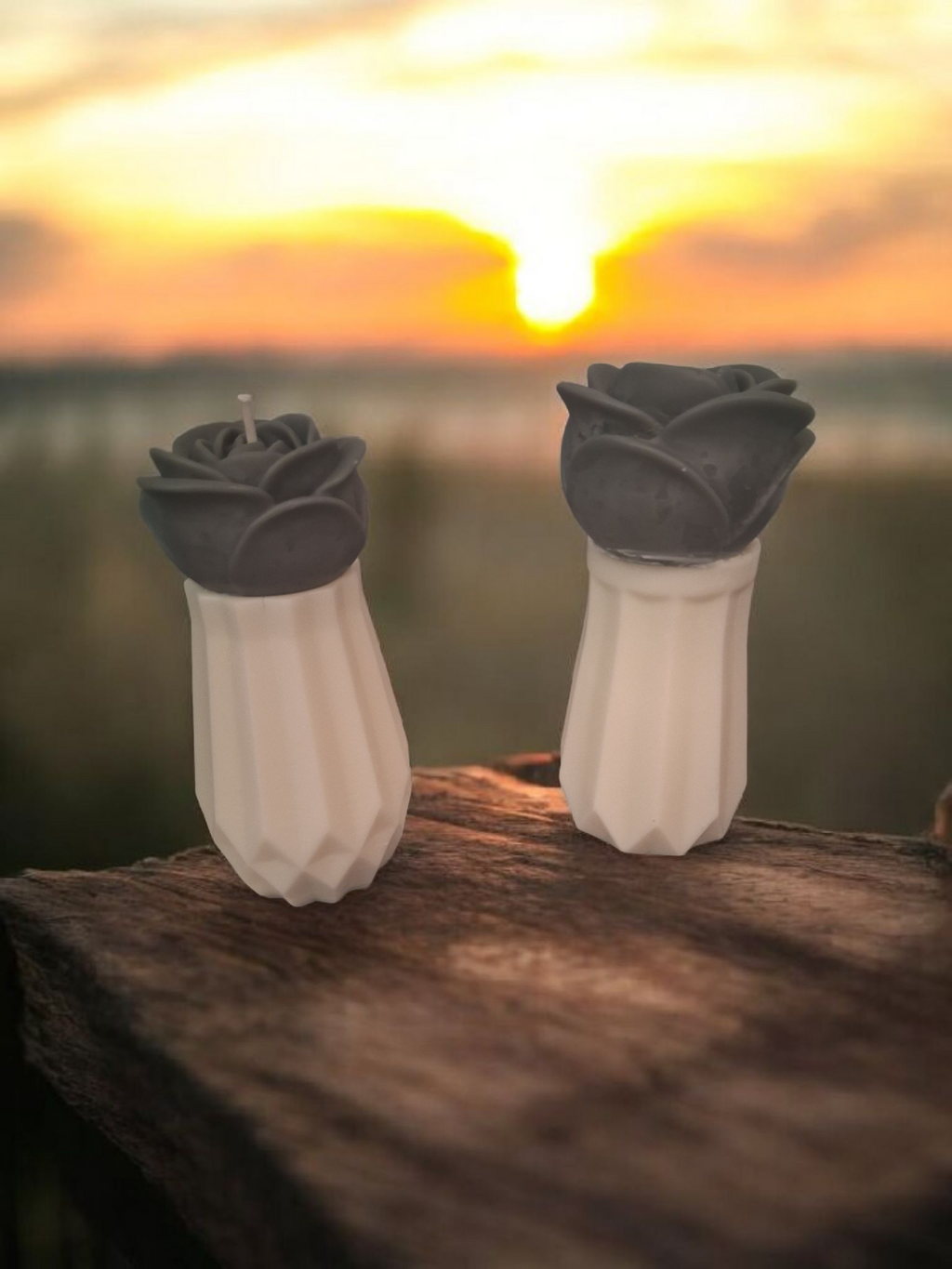 Leather Rose Luminary (Set of 2)