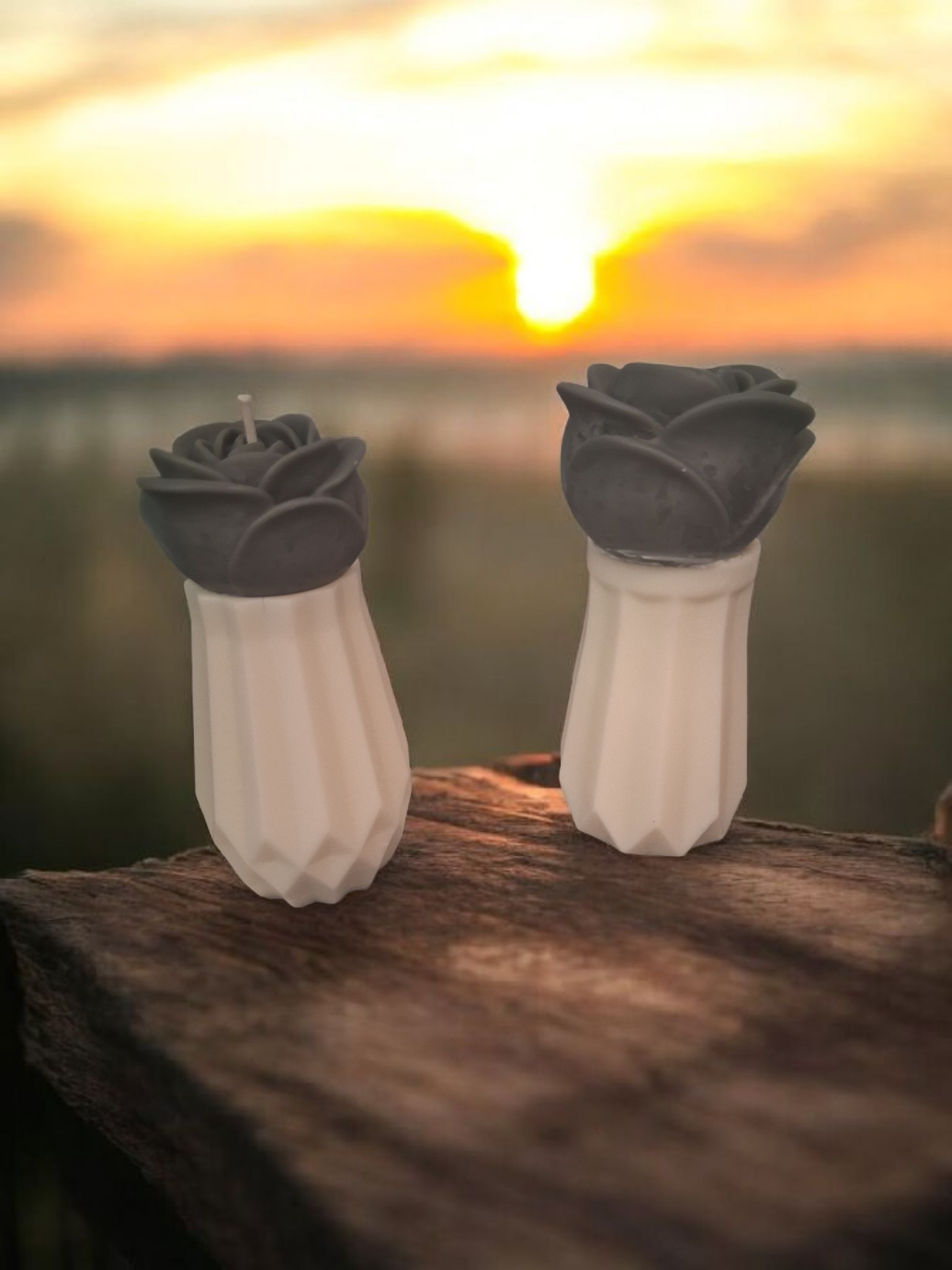 Leather Rose Luminary (Set of 2)