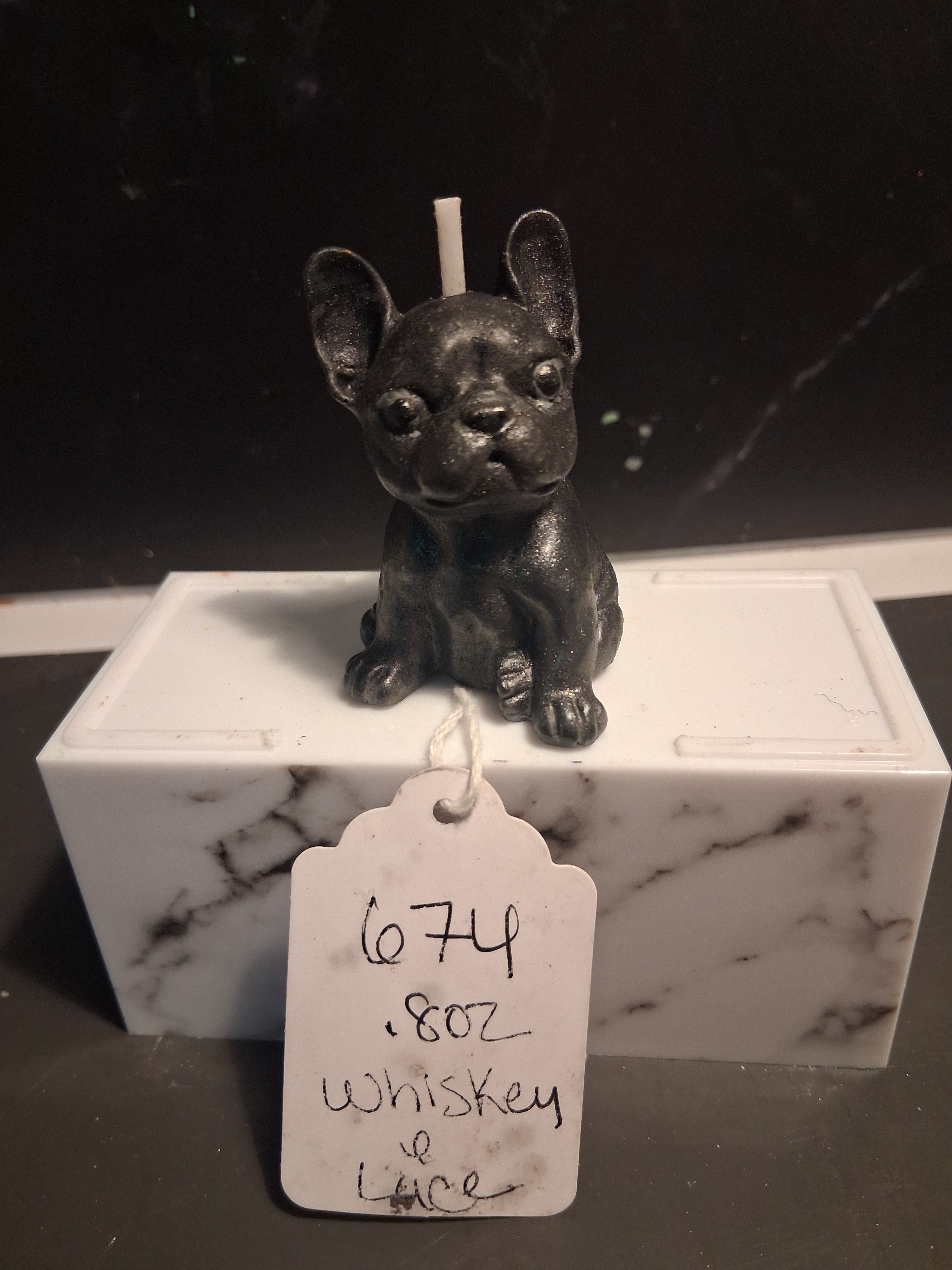 Frenchie Pup Flicker
