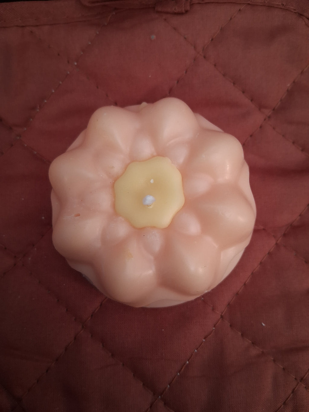 Pumpkin Spice and Gingerbread (Set of 4)