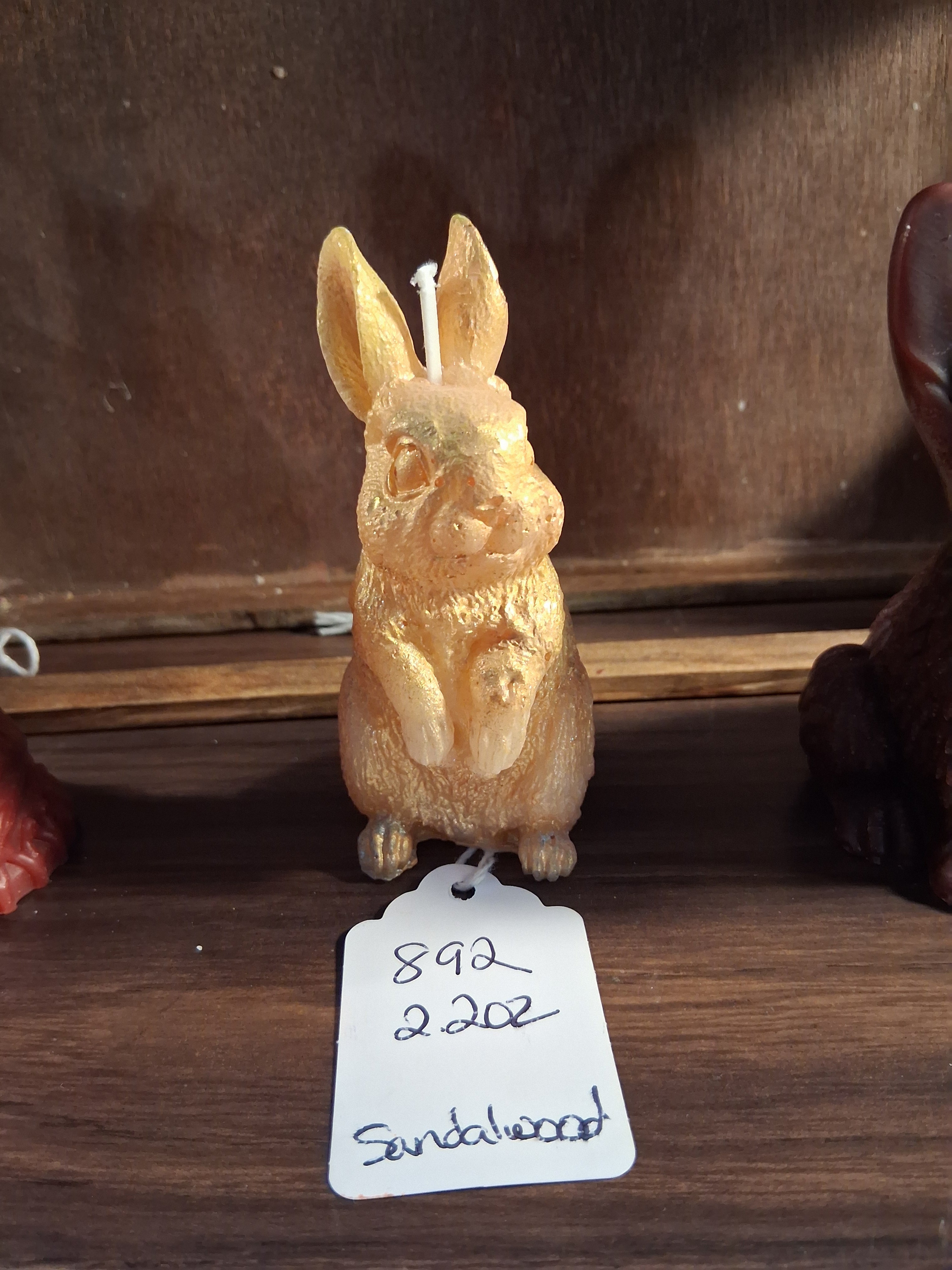 Honey Bunny