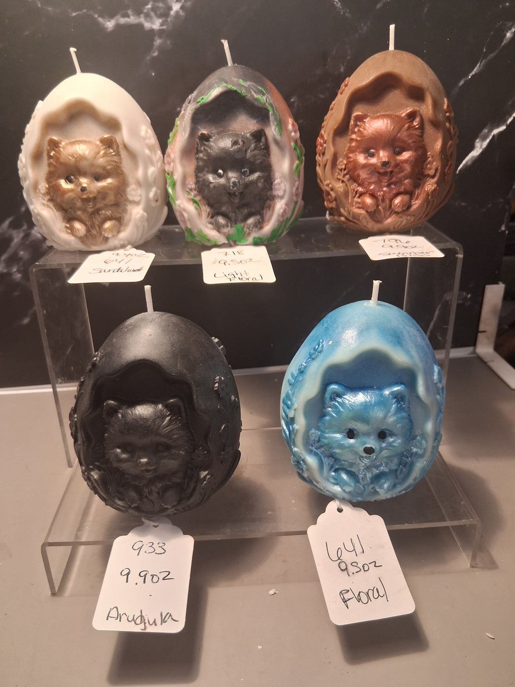 Pom Egg Hatchling
