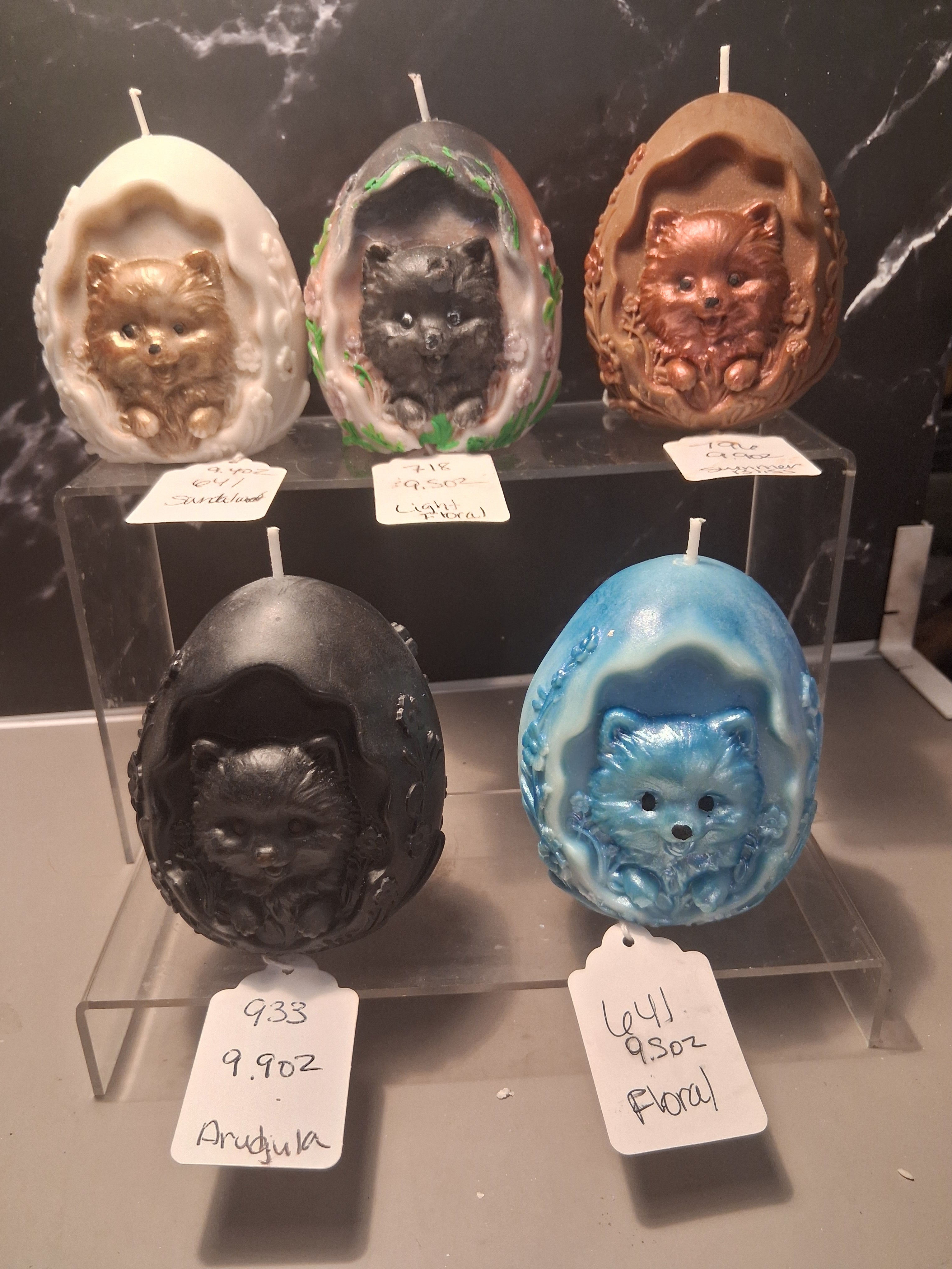 Pom Egg Hatchling