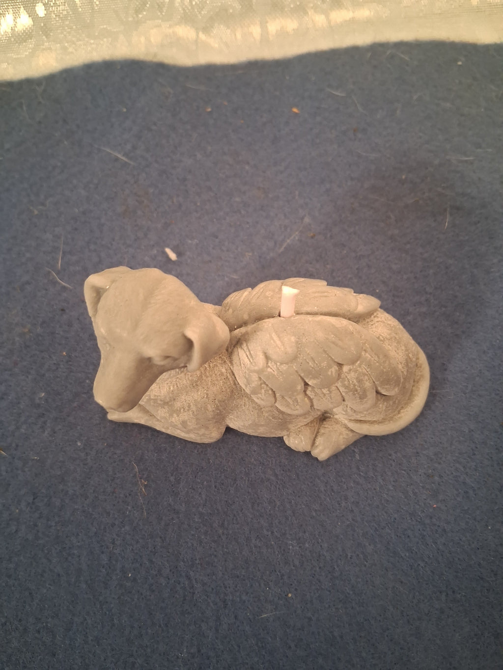 Celestial Canine Rest