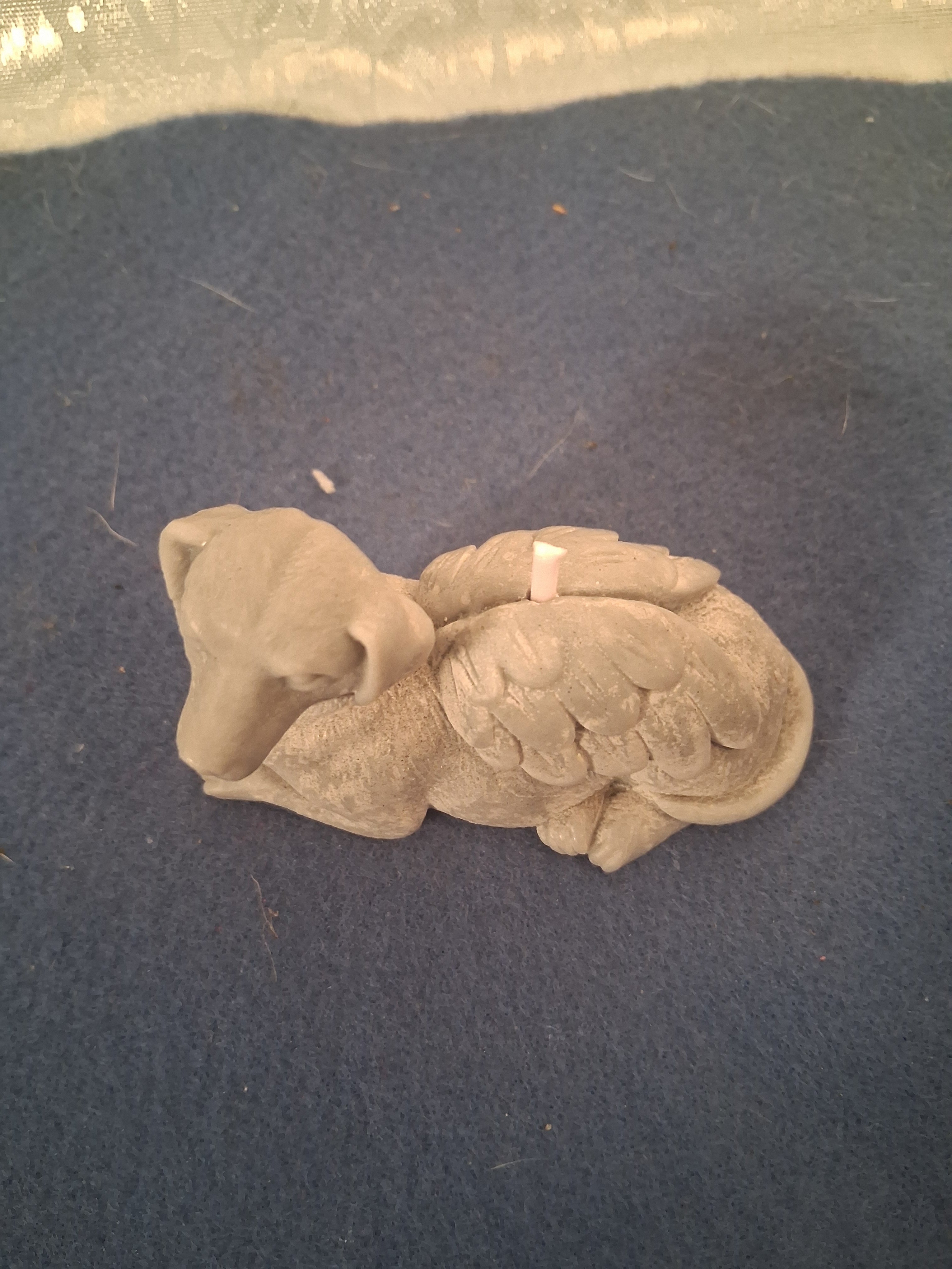 Celestial Canine Rest