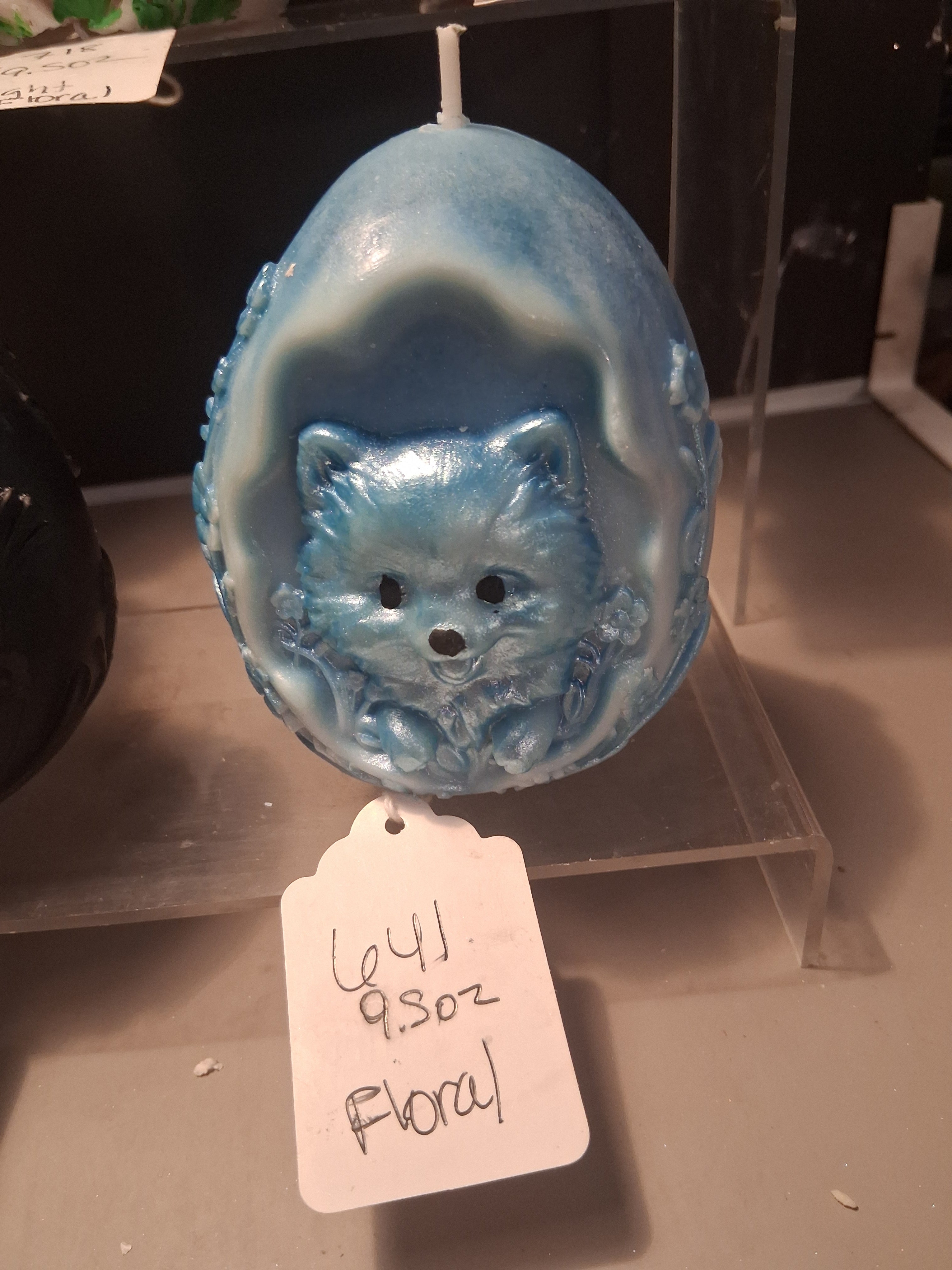 Pom Egg Hatchling