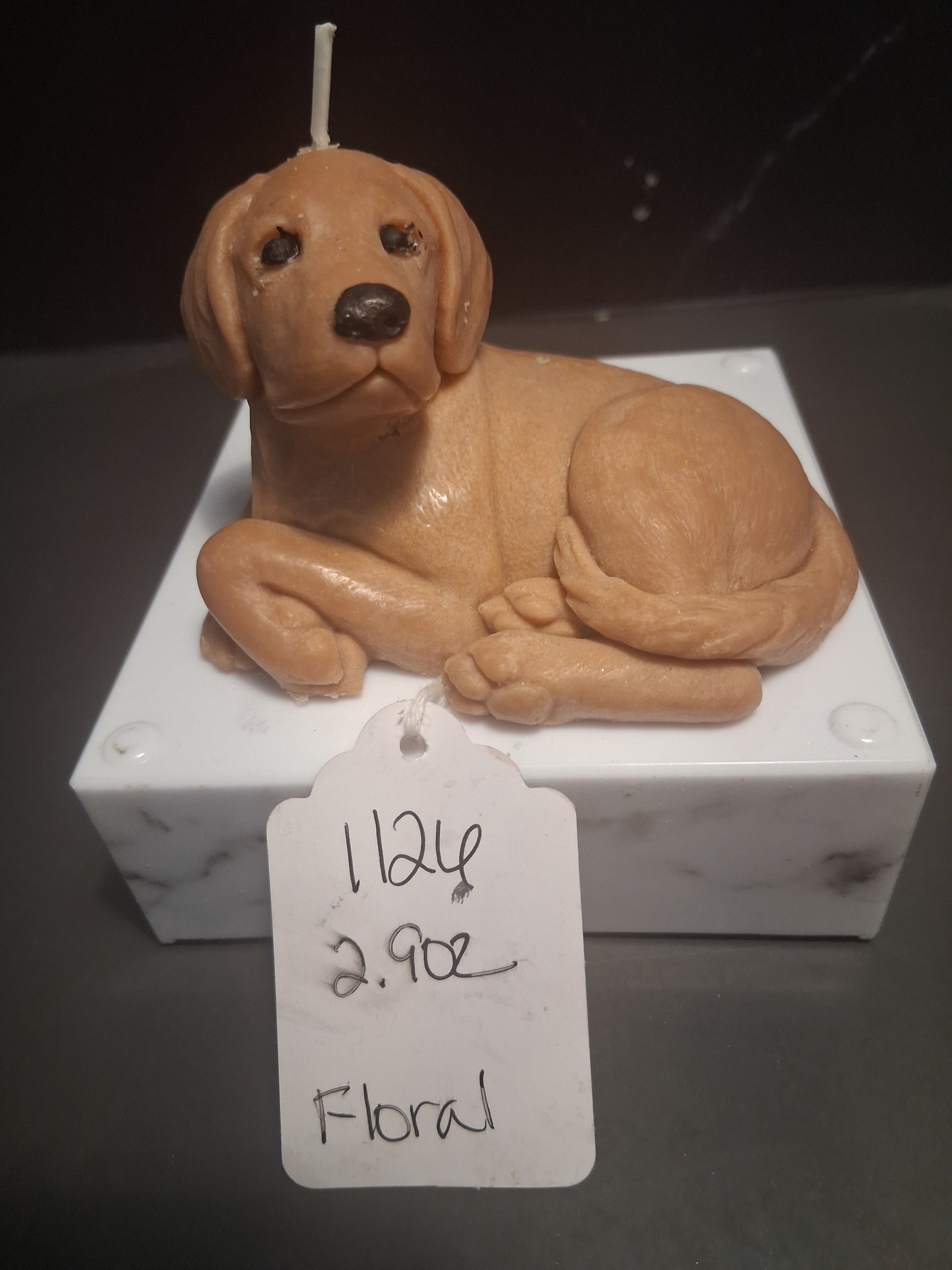 Loyal Pup Lodge