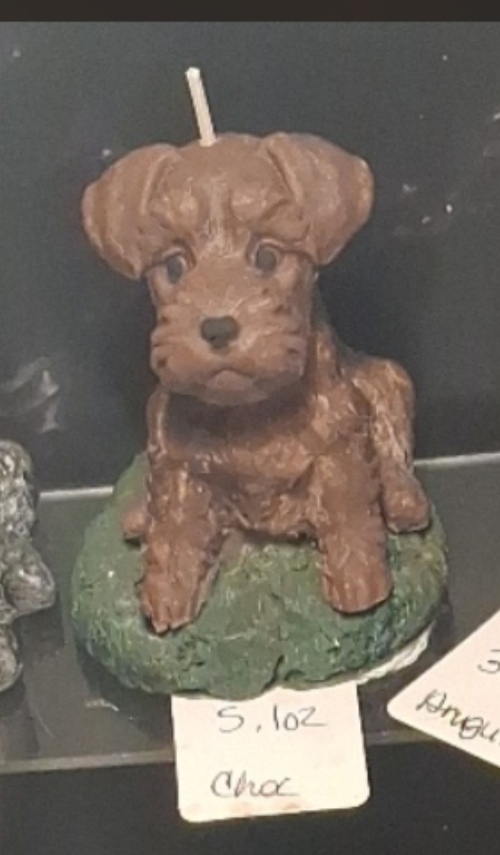 Scottish Terrier