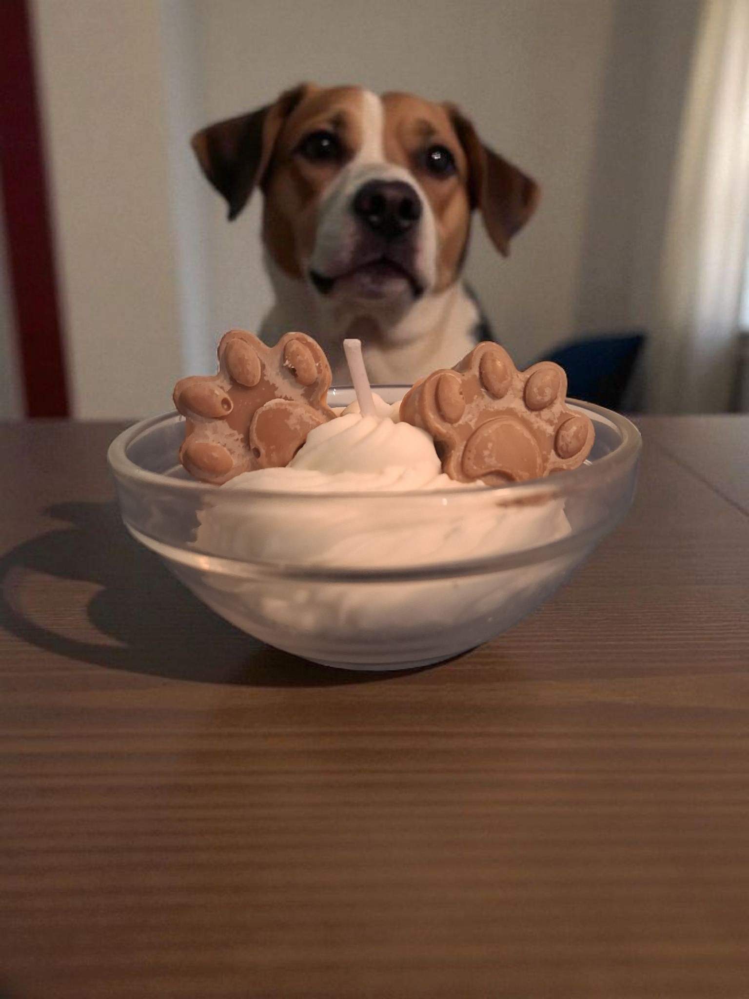 Pup Cup (Muddy Paws) 2