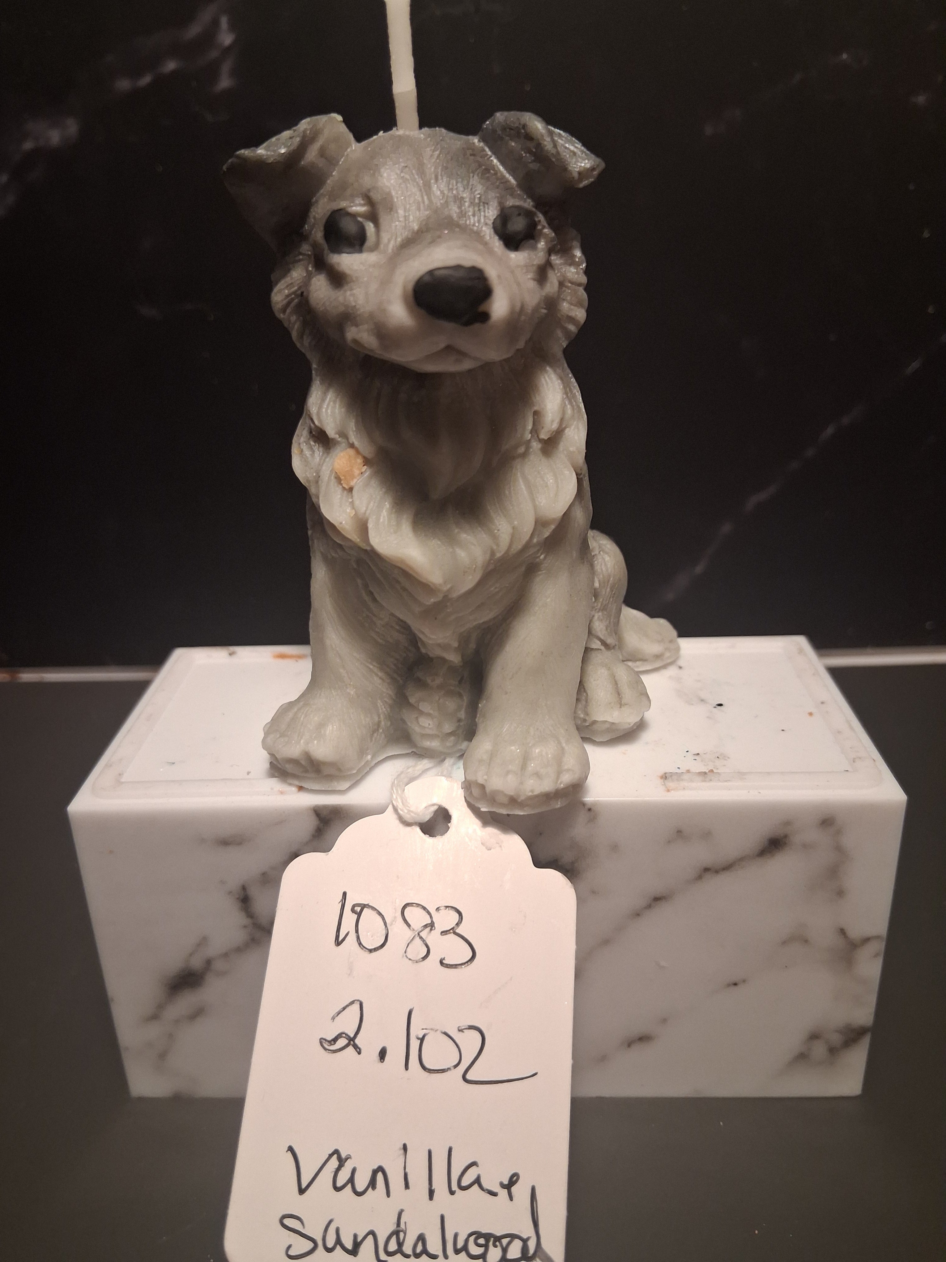Brilliant Border Collie