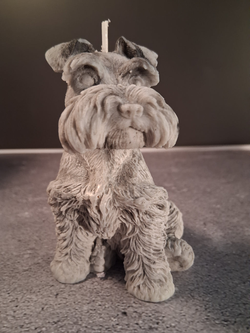 Schnauzer Spunkhouse