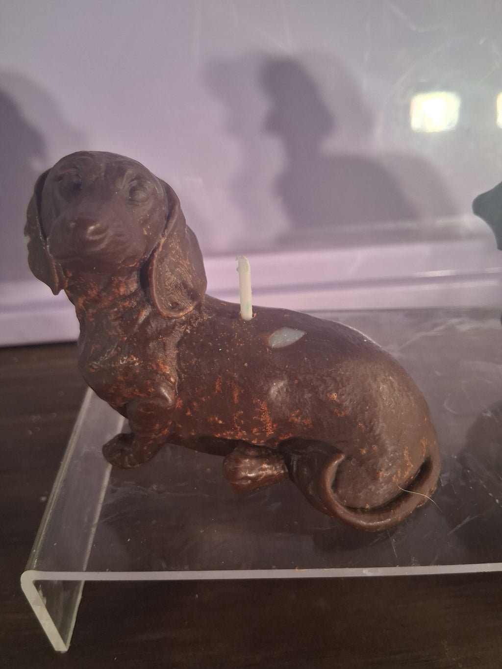 Dachshund Glow