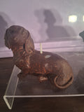 Dachshund Glow