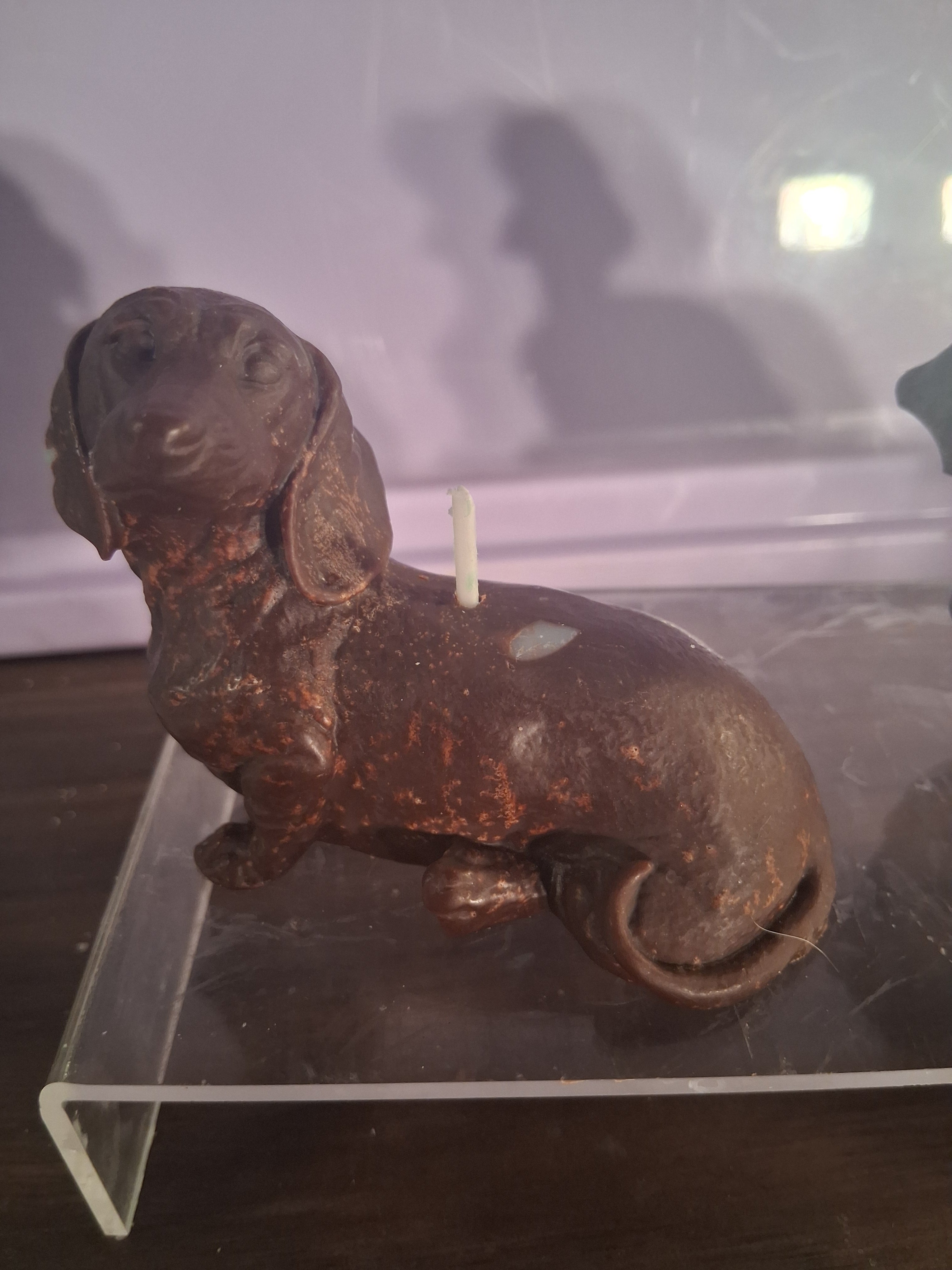 Dachshund Glow
