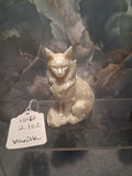 Whisker Willow