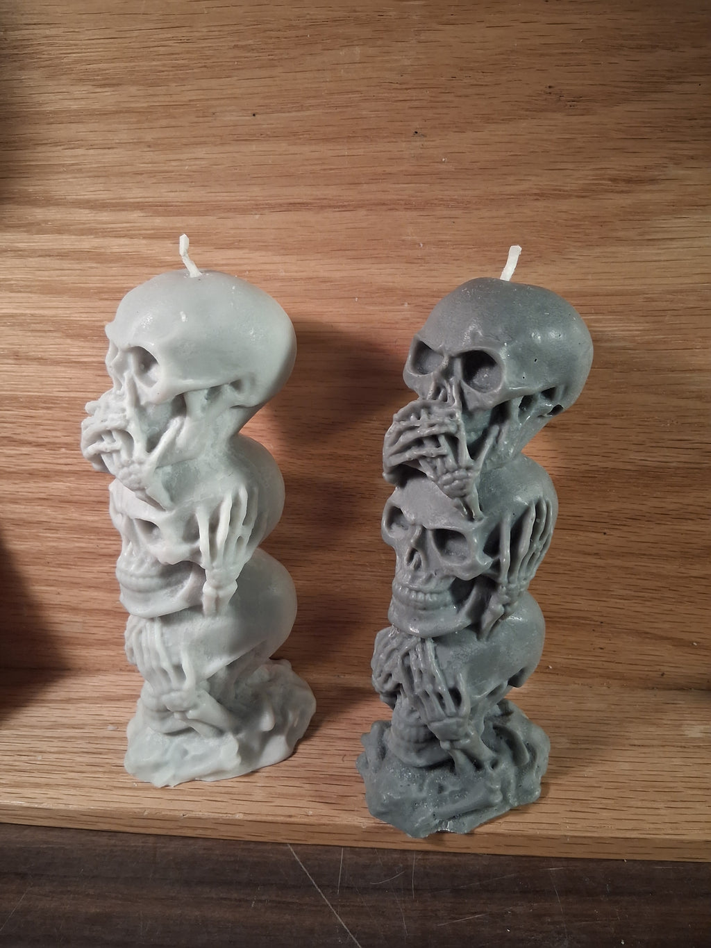 Silent Skull Sentinel ☠️