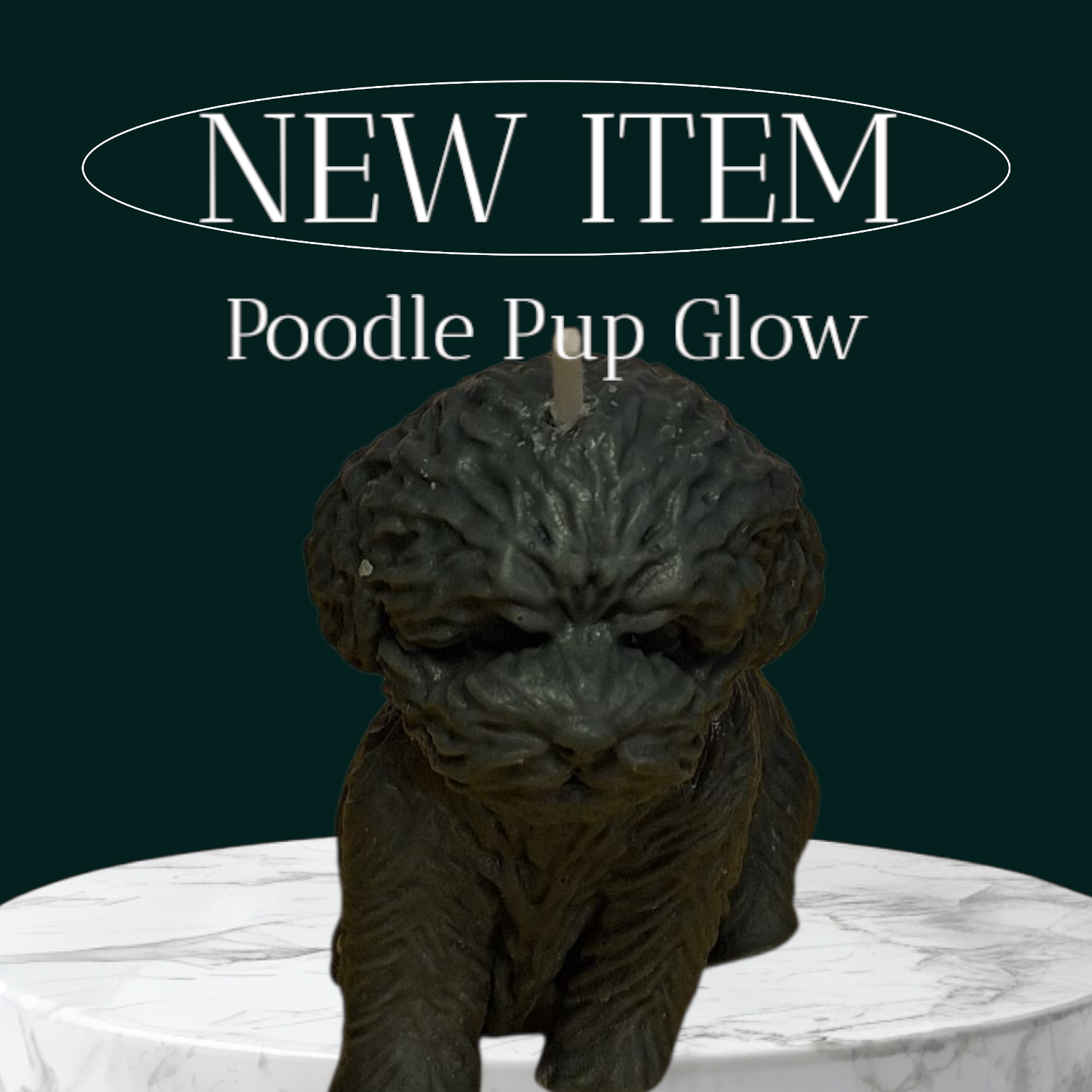 Poodle Pup Glow