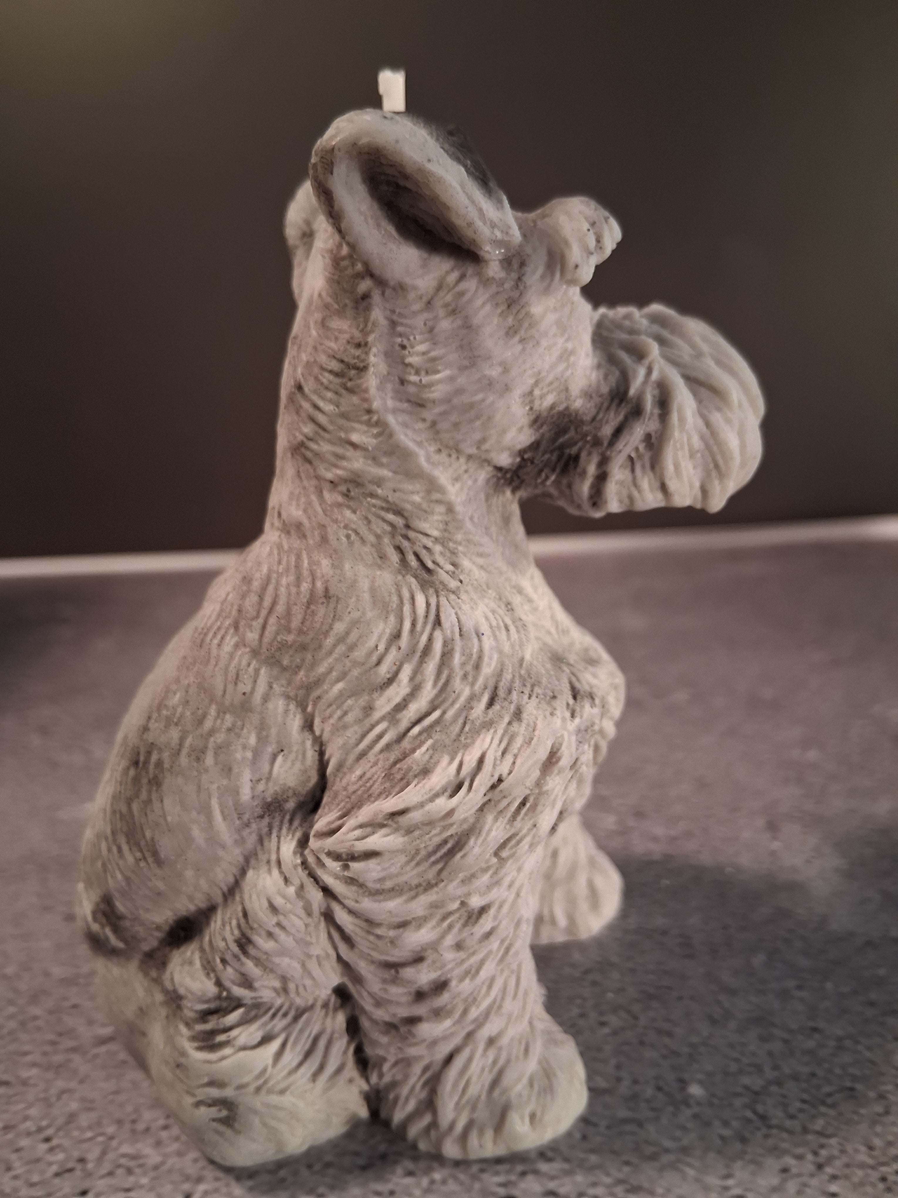 Schnauzer Spunkhouse