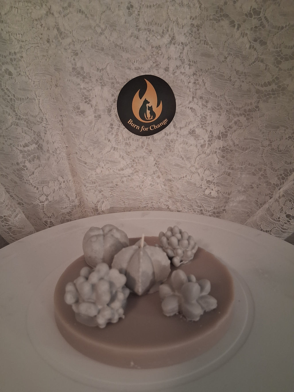 Oasis Succulent Cluster