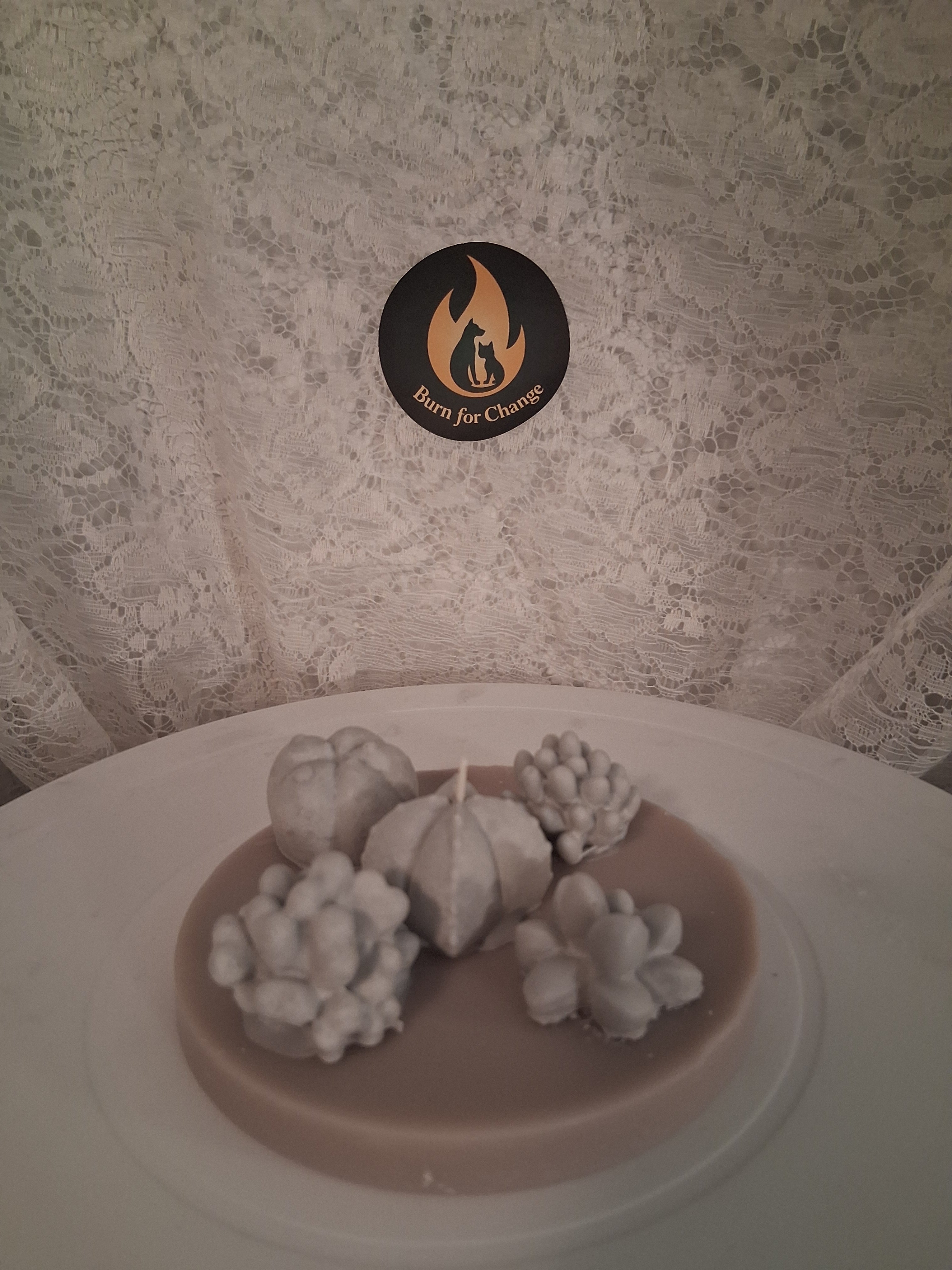 Oasis Succulent Cluster