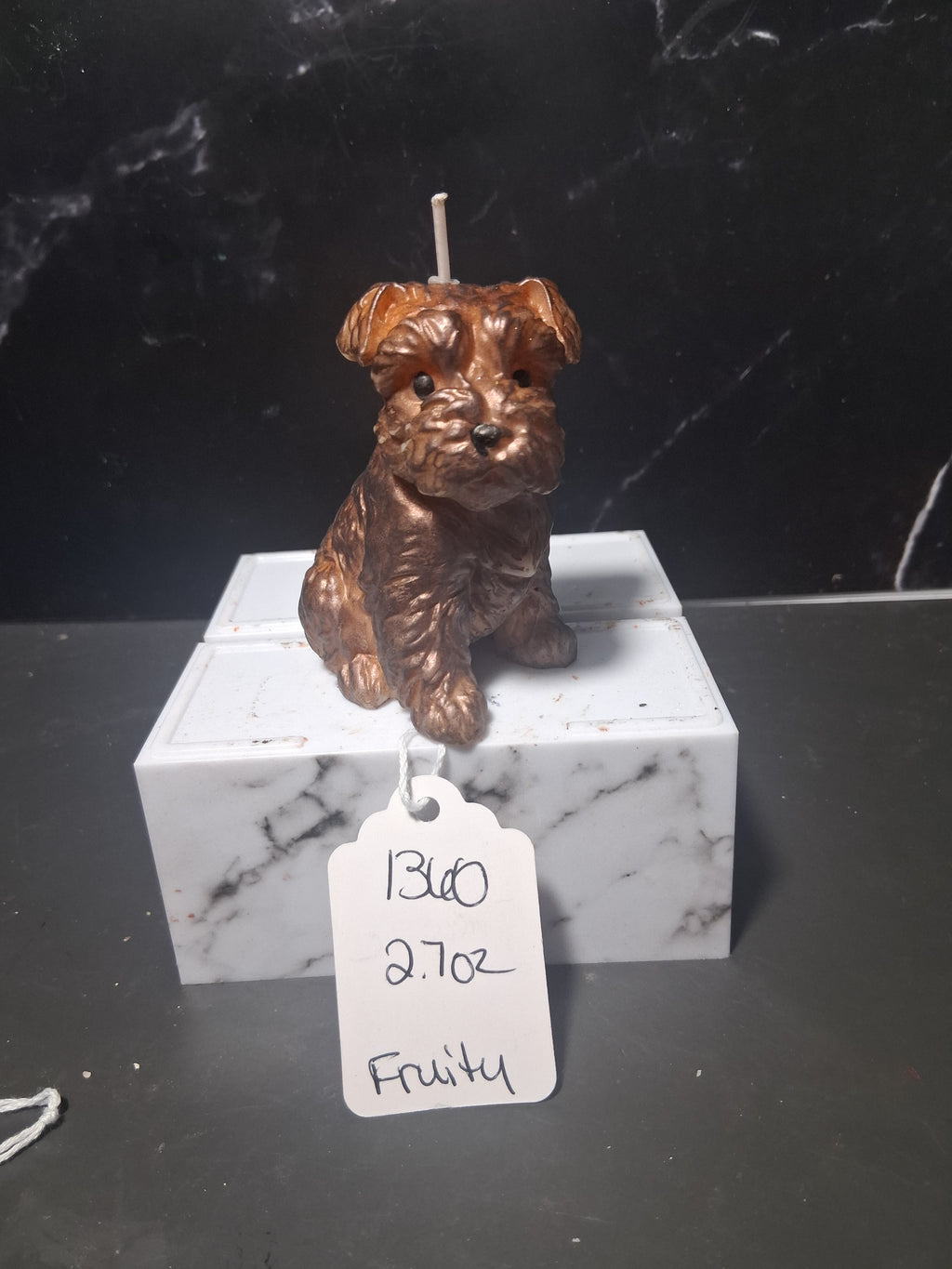 Terrier Treasure