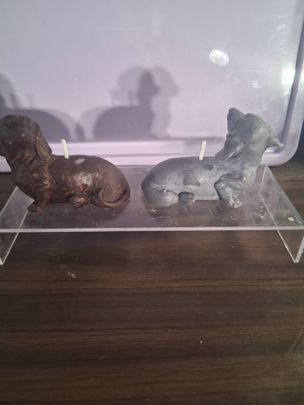 Dachshund Glow