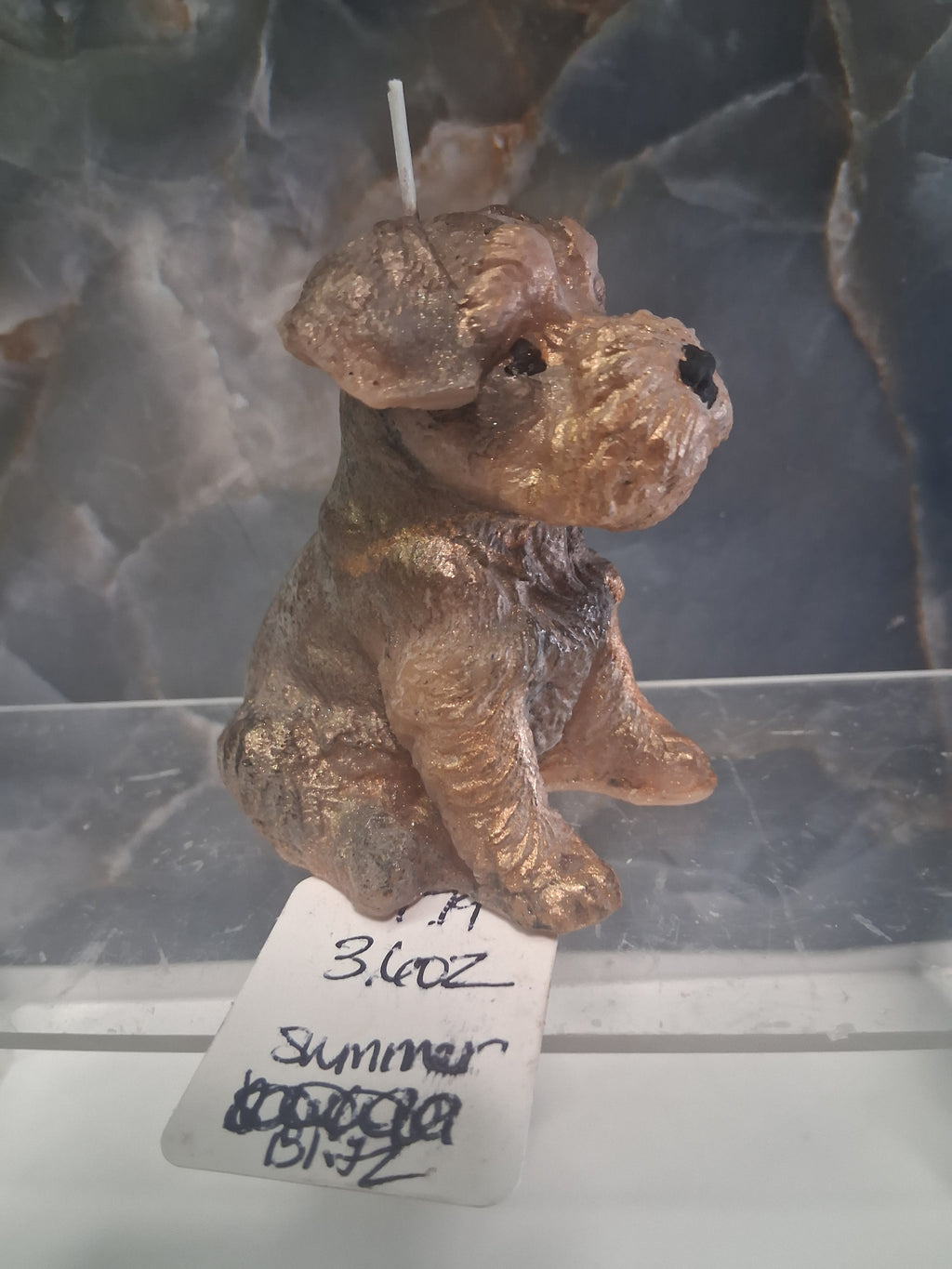 Scottish Terrier