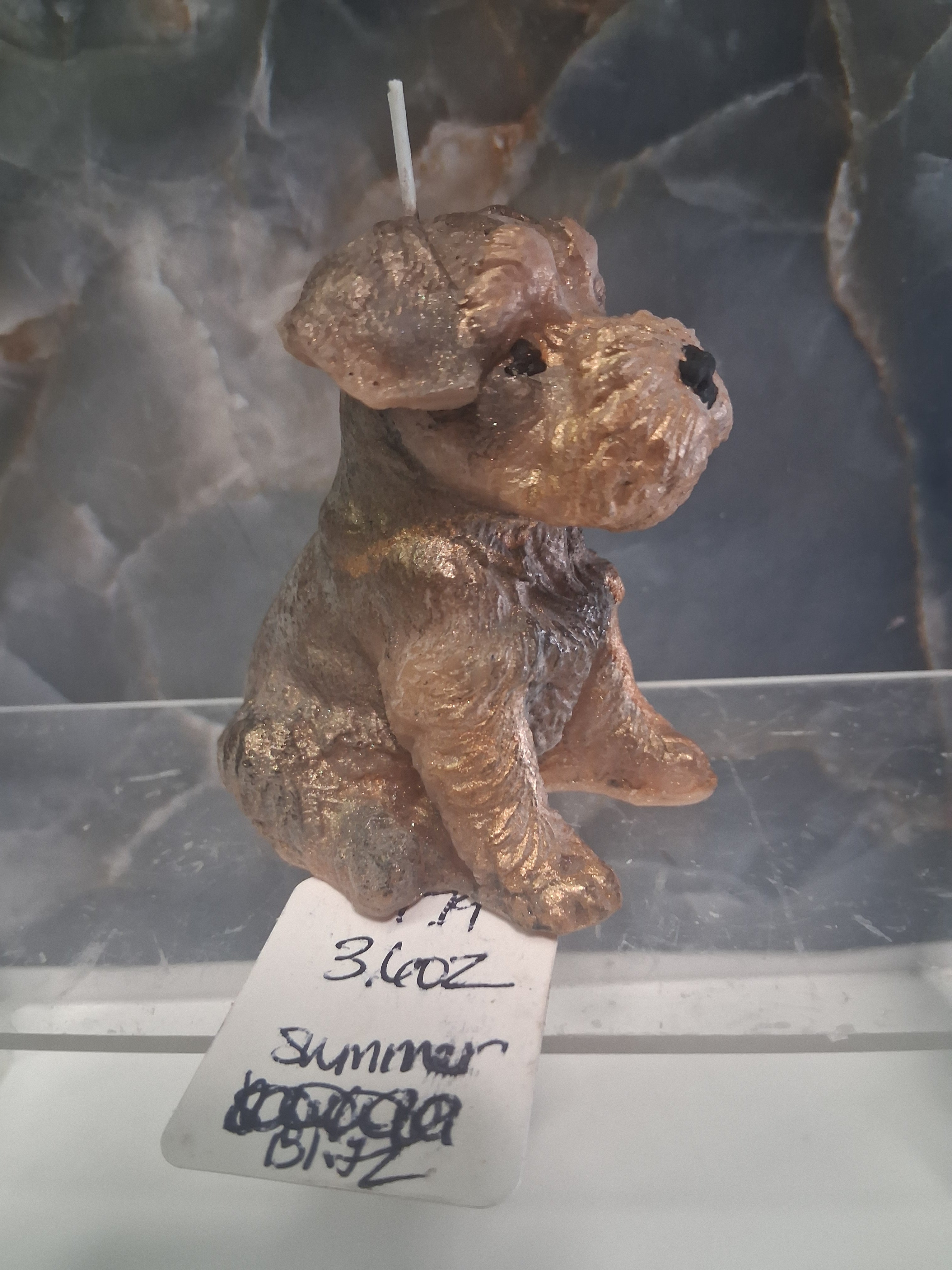 Scottish Terrier