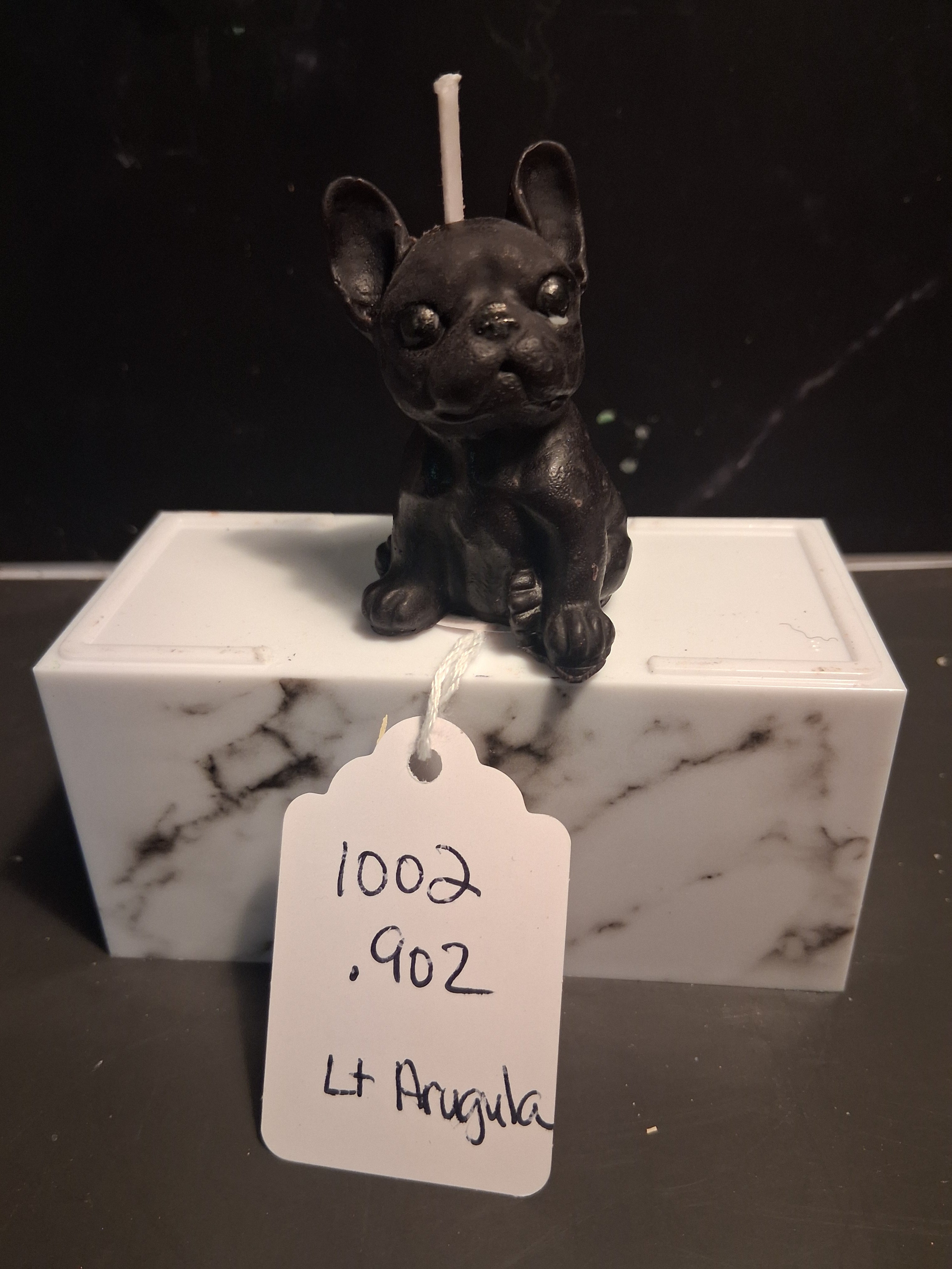 Frenchie Pup Flicker