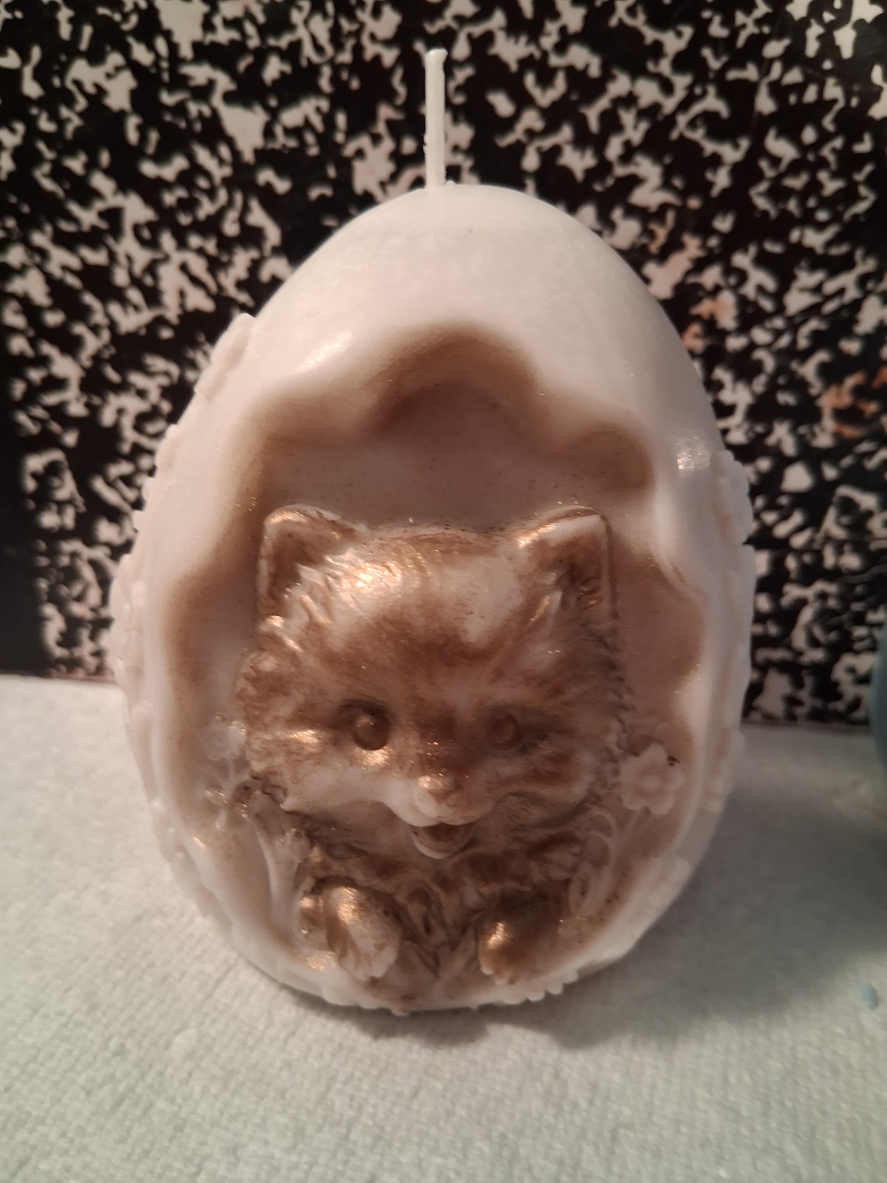 Pom Egg Hatchling