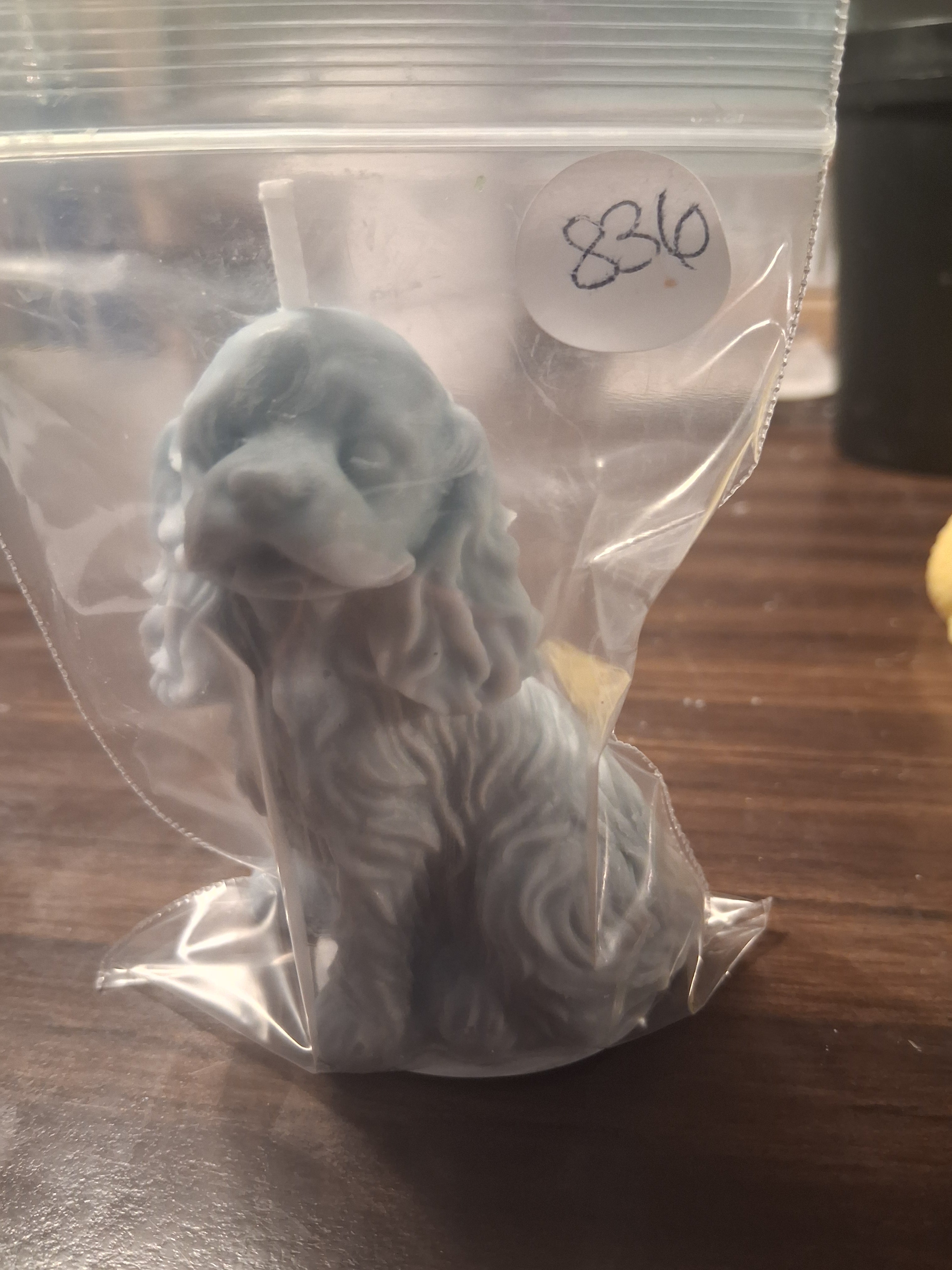 Spunky Spaniel