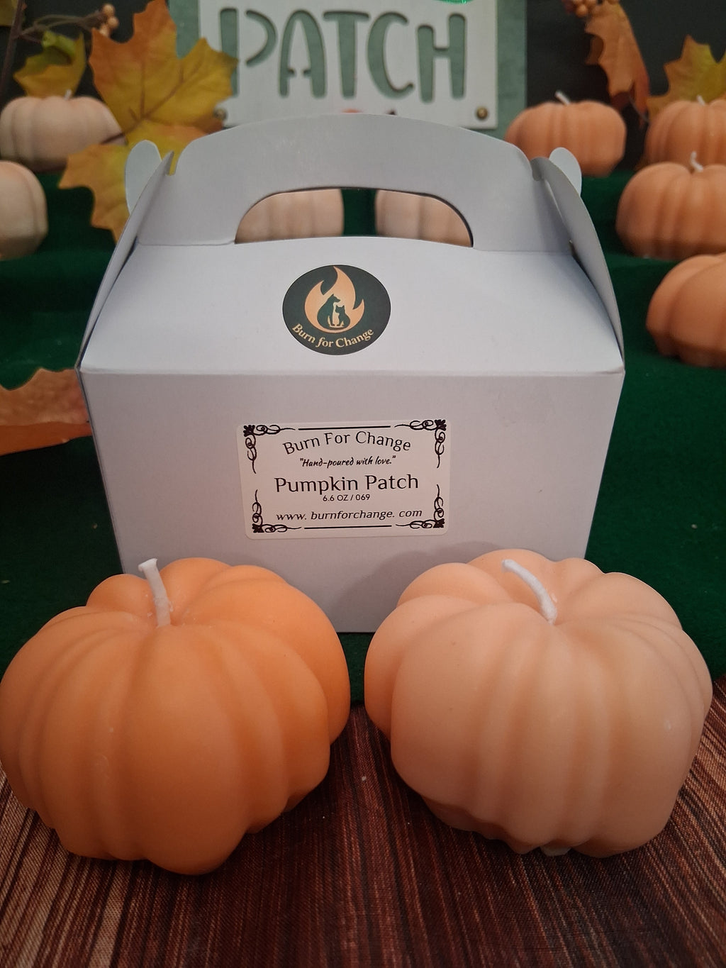 Pumpkin Patch 2 (Set of 2)