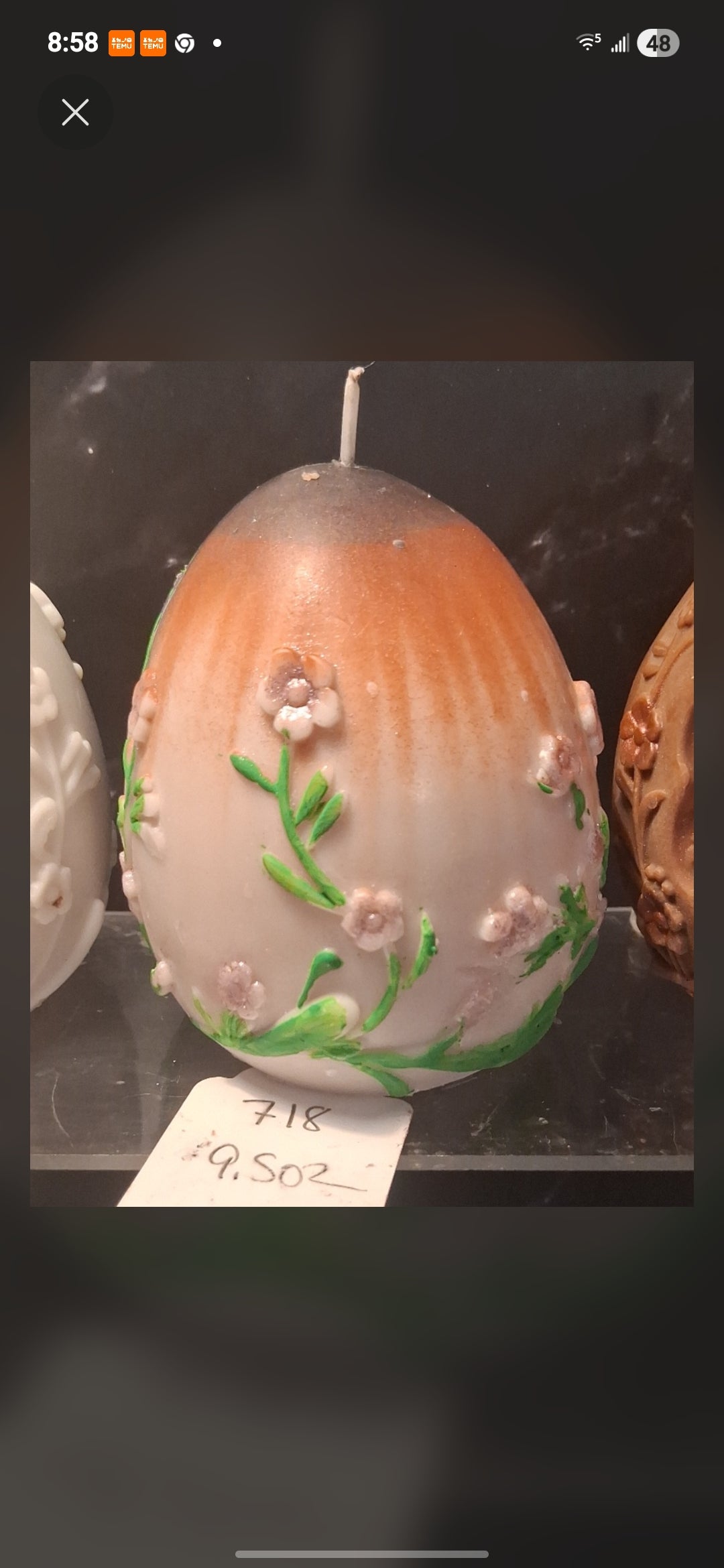 Pom Egg Hatchling