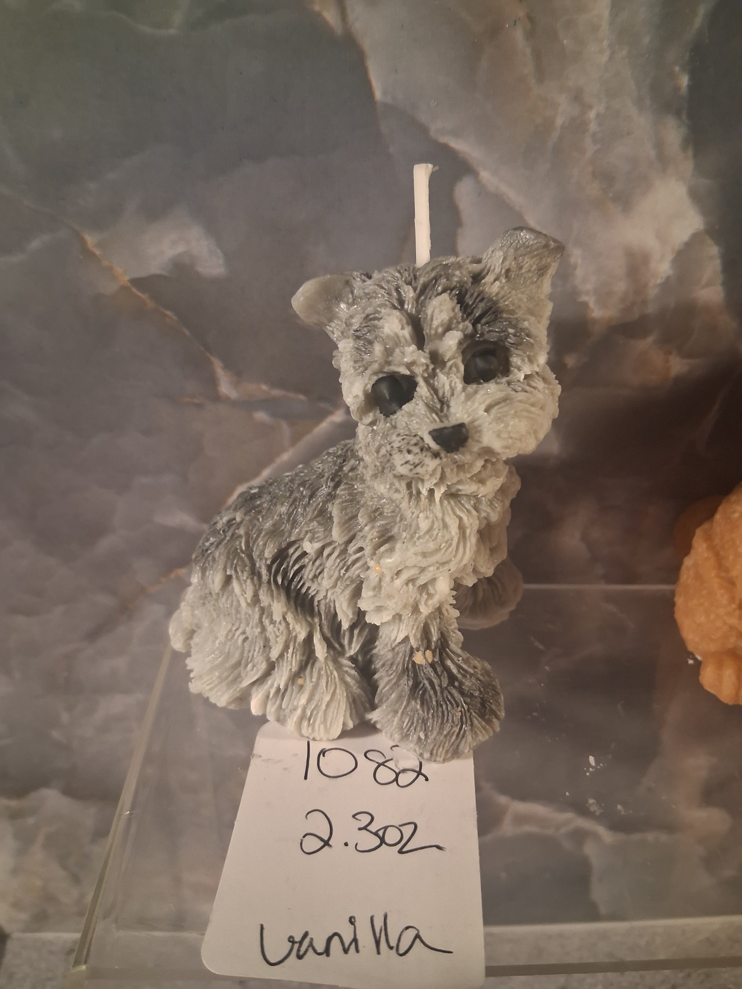 Scruffy Terrier