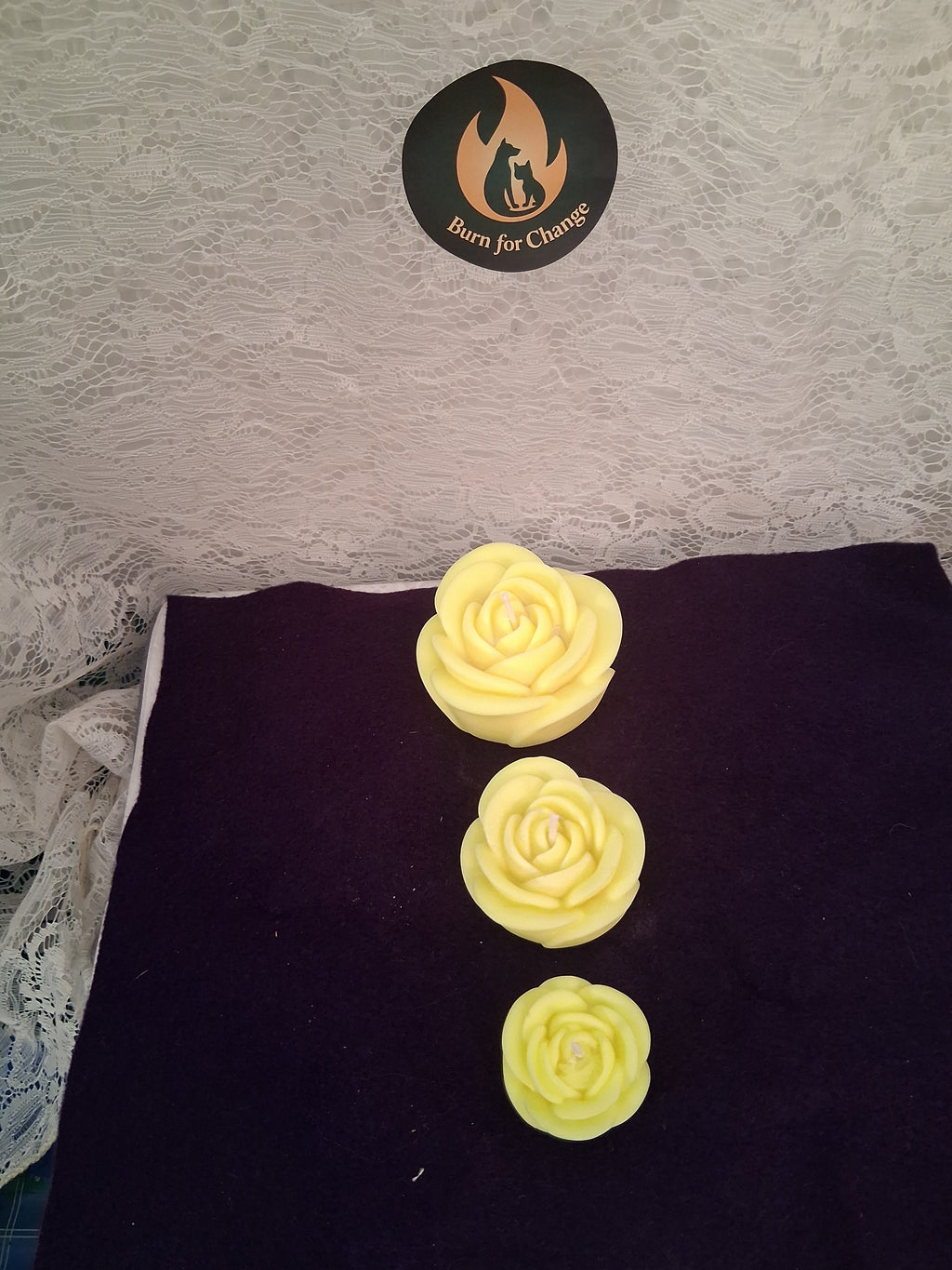 Radiant Glow Roses (Set of 3)