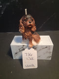 Spunky Spaniel
