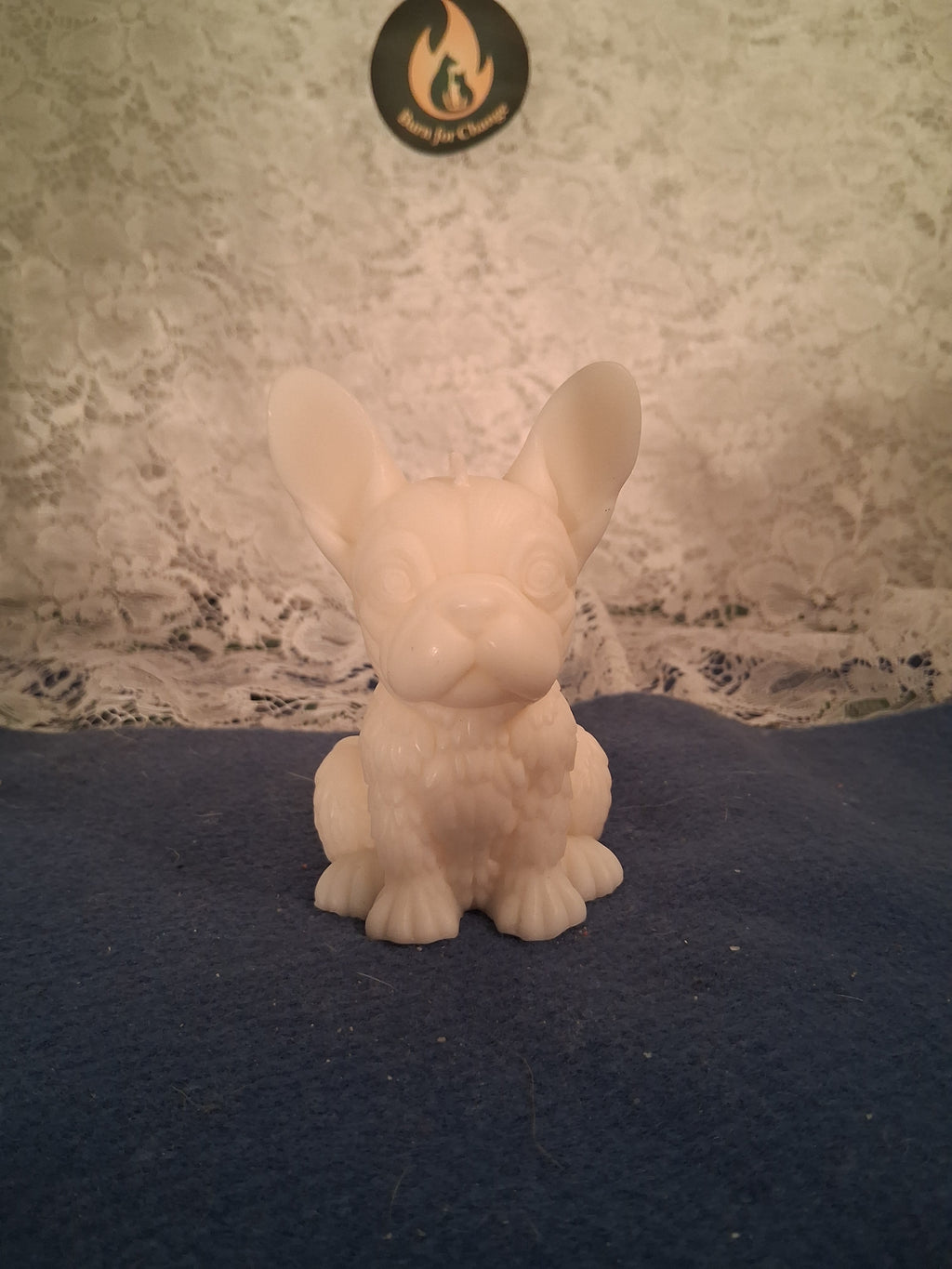 Firelight Frenchie 2