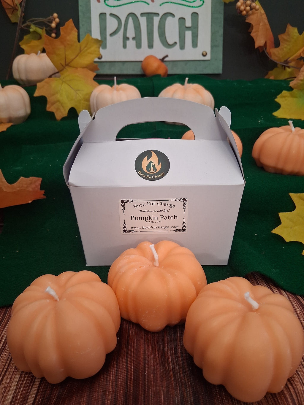 Pumpkin Patch 3 (Set of 3)