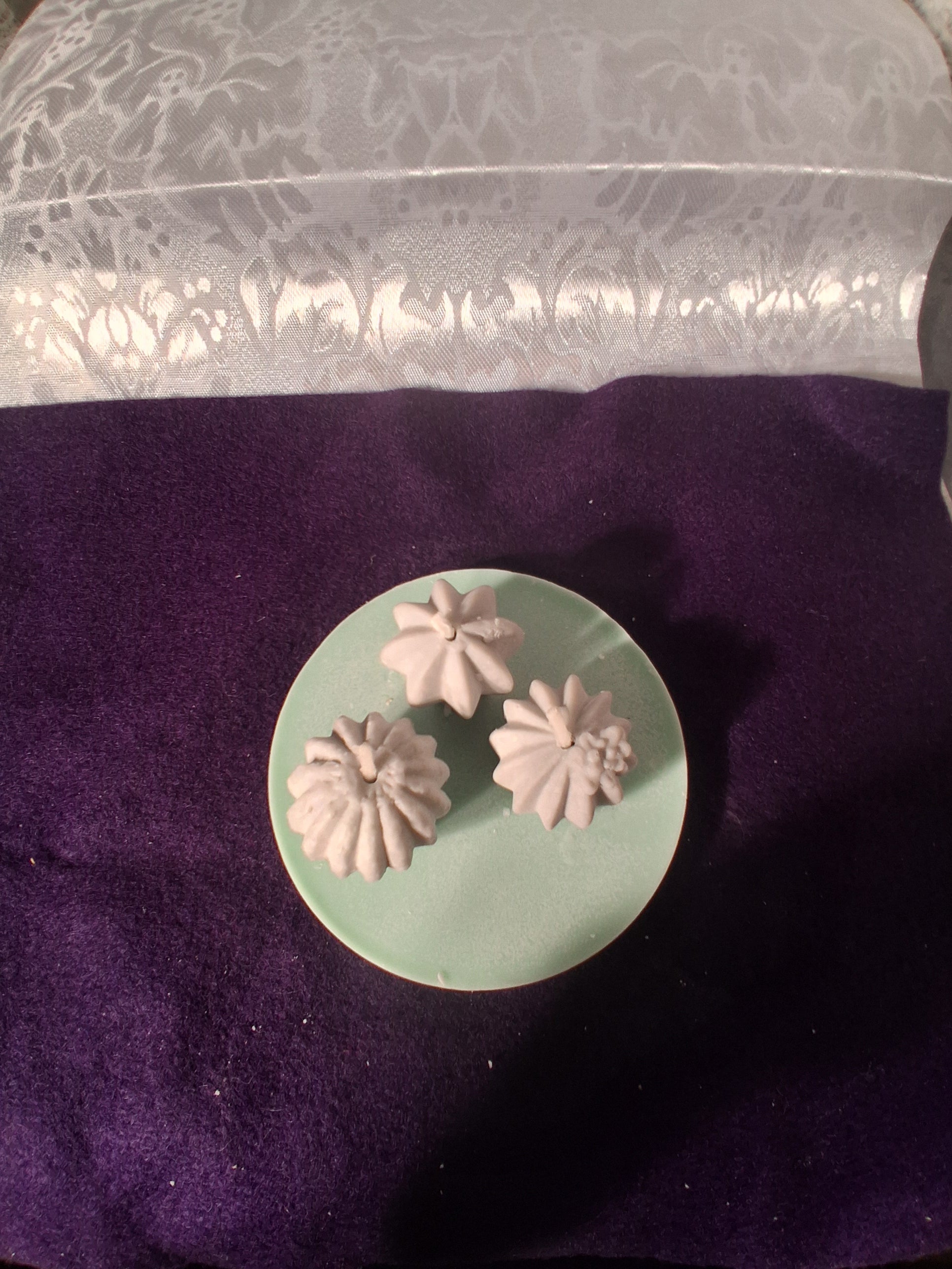 Sage Succulent Garden