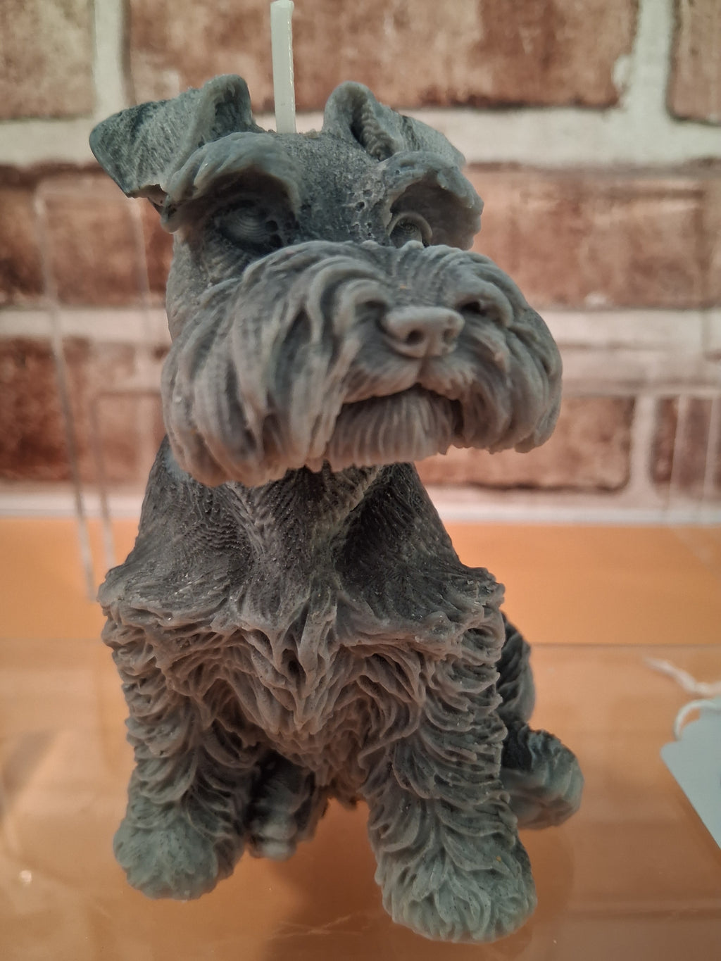Schnauzer Spunkhouse