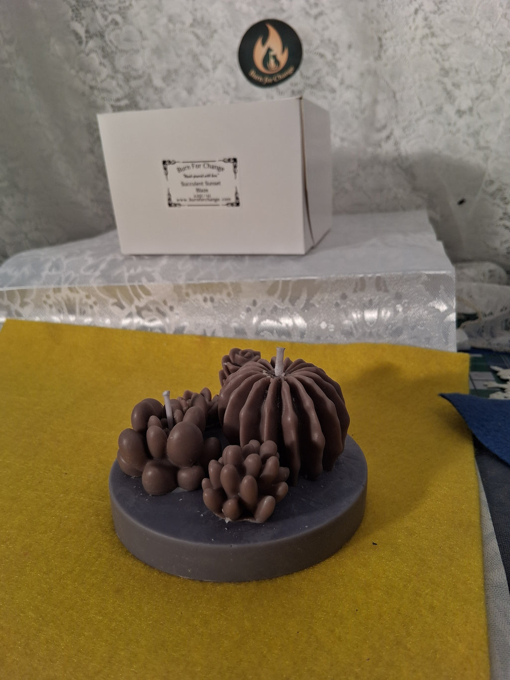 Succulent Sunset Blaze