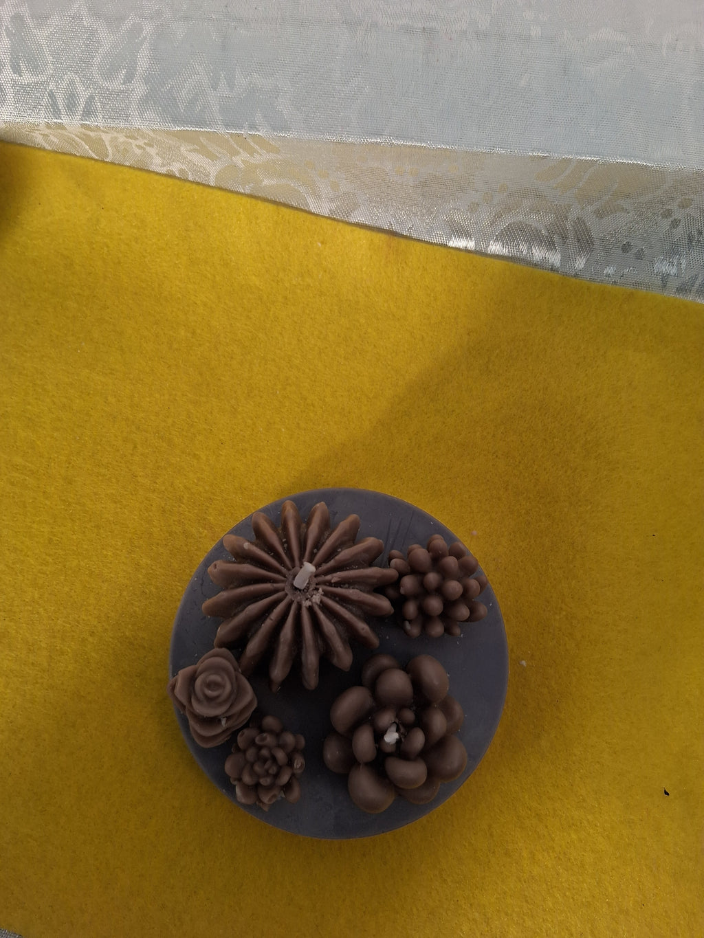 Succulent Sunset Blaze