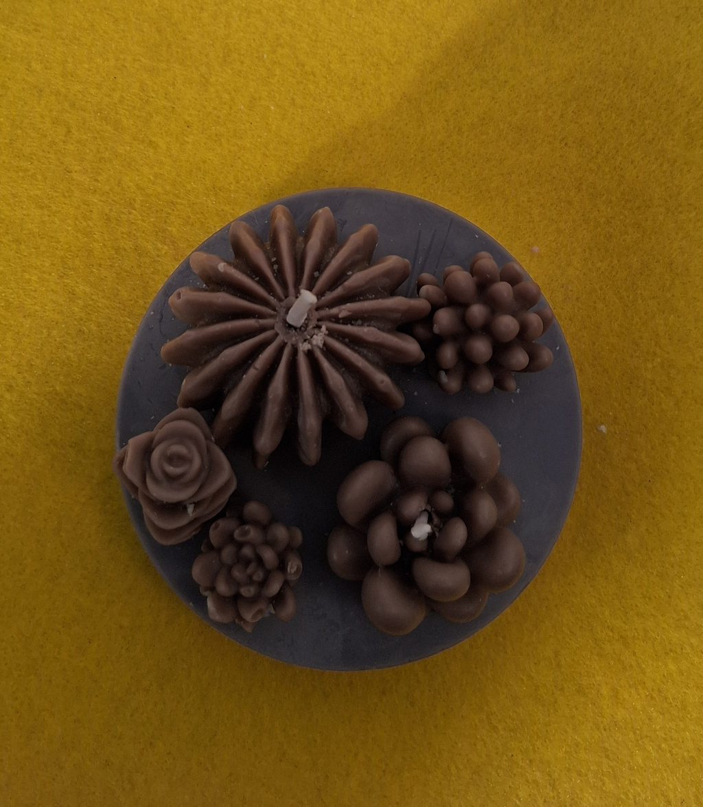 Succulent Sunset Blaze