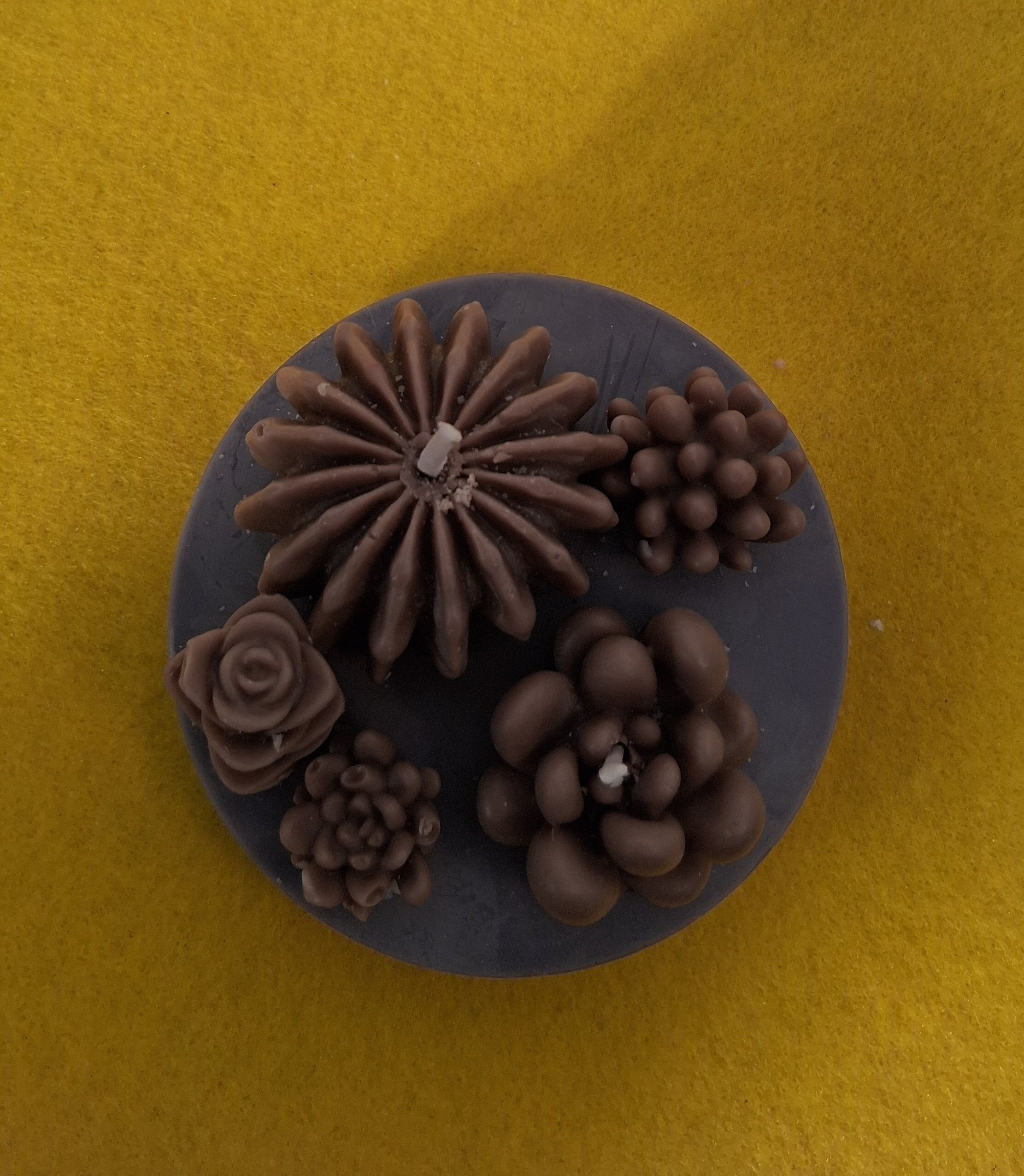 Succulent Sunset Blaze