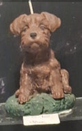 Scottish Terrier